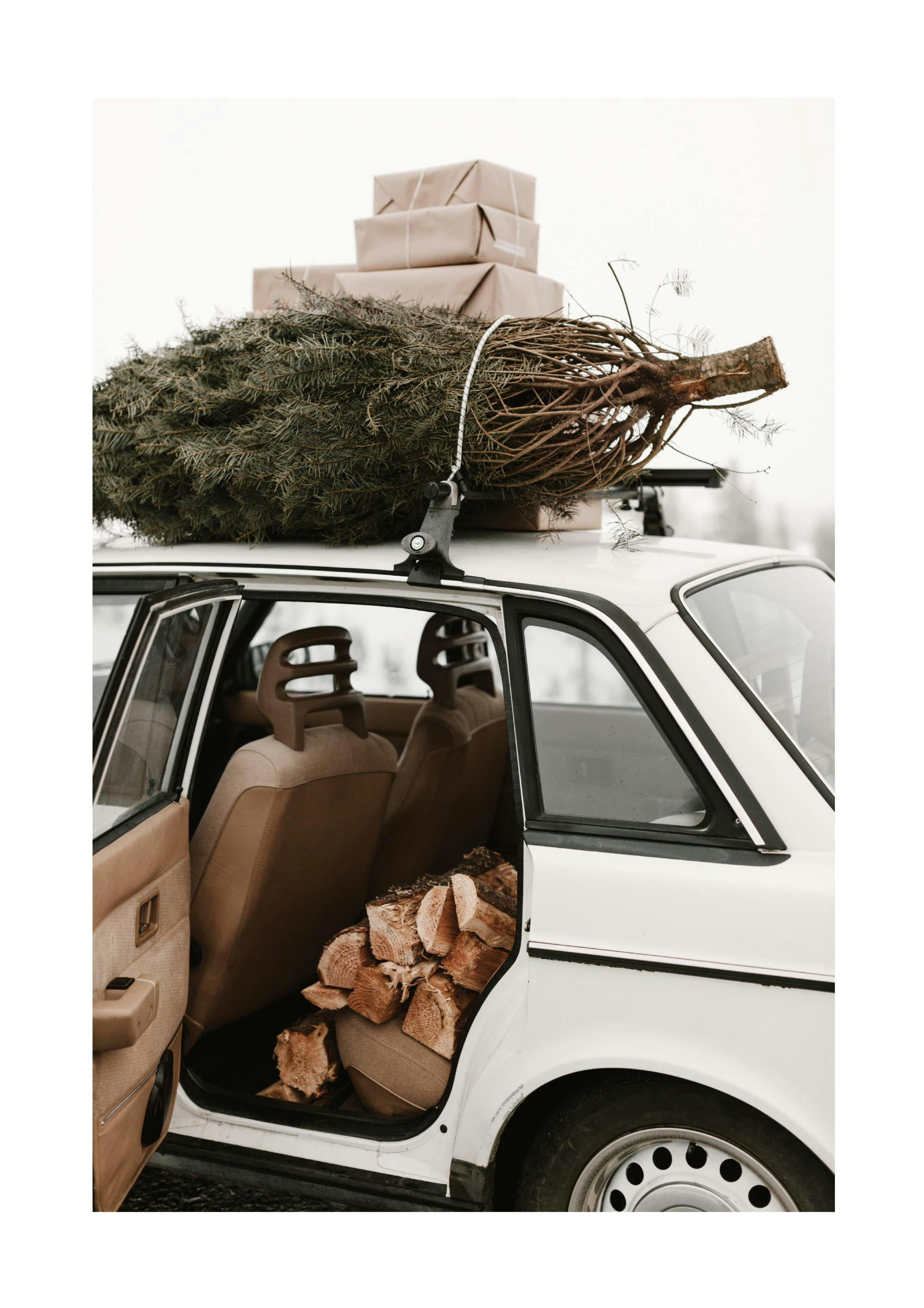 Holiday Car Plakat 0