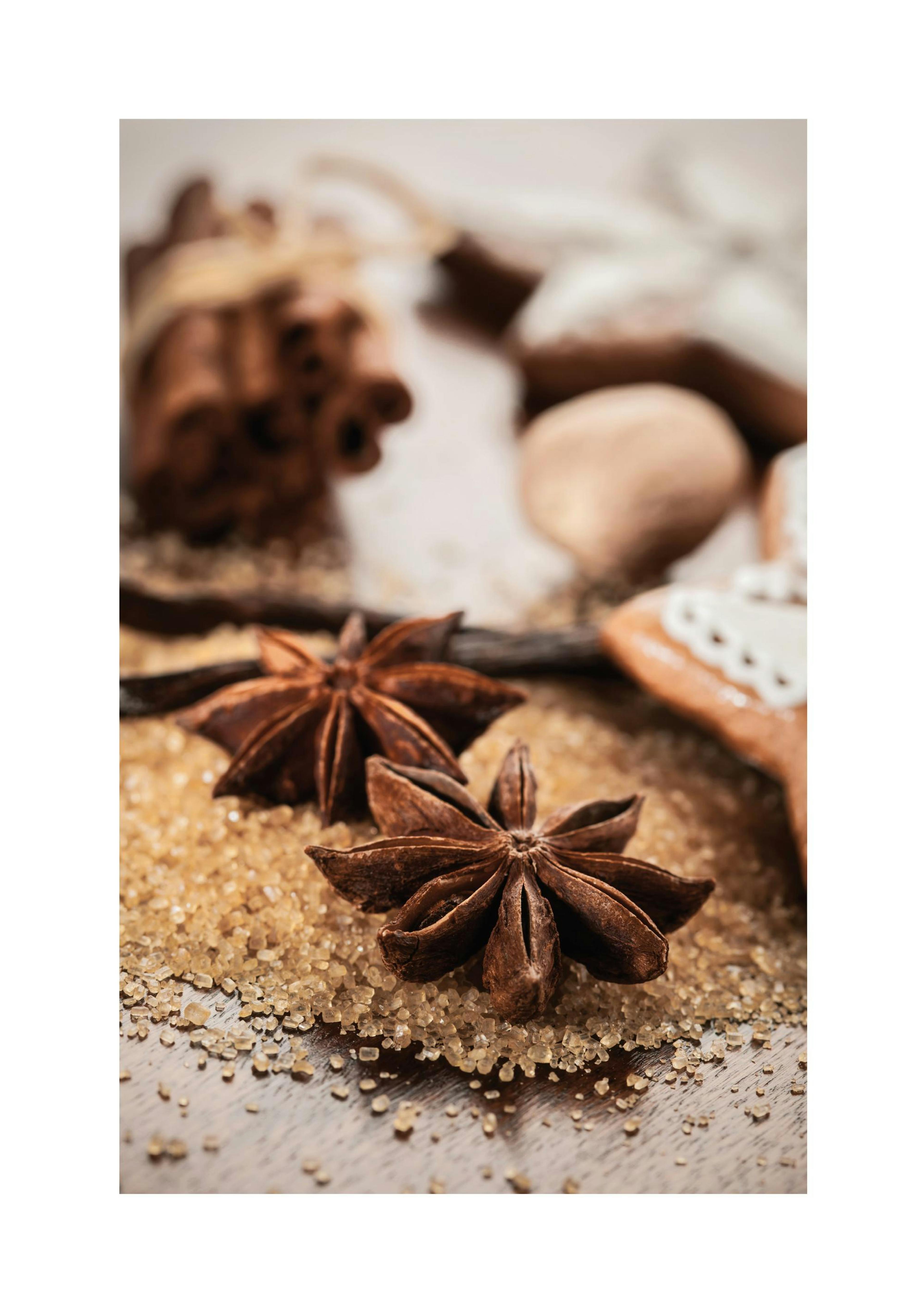 Anis & Cinnamon Poster 0