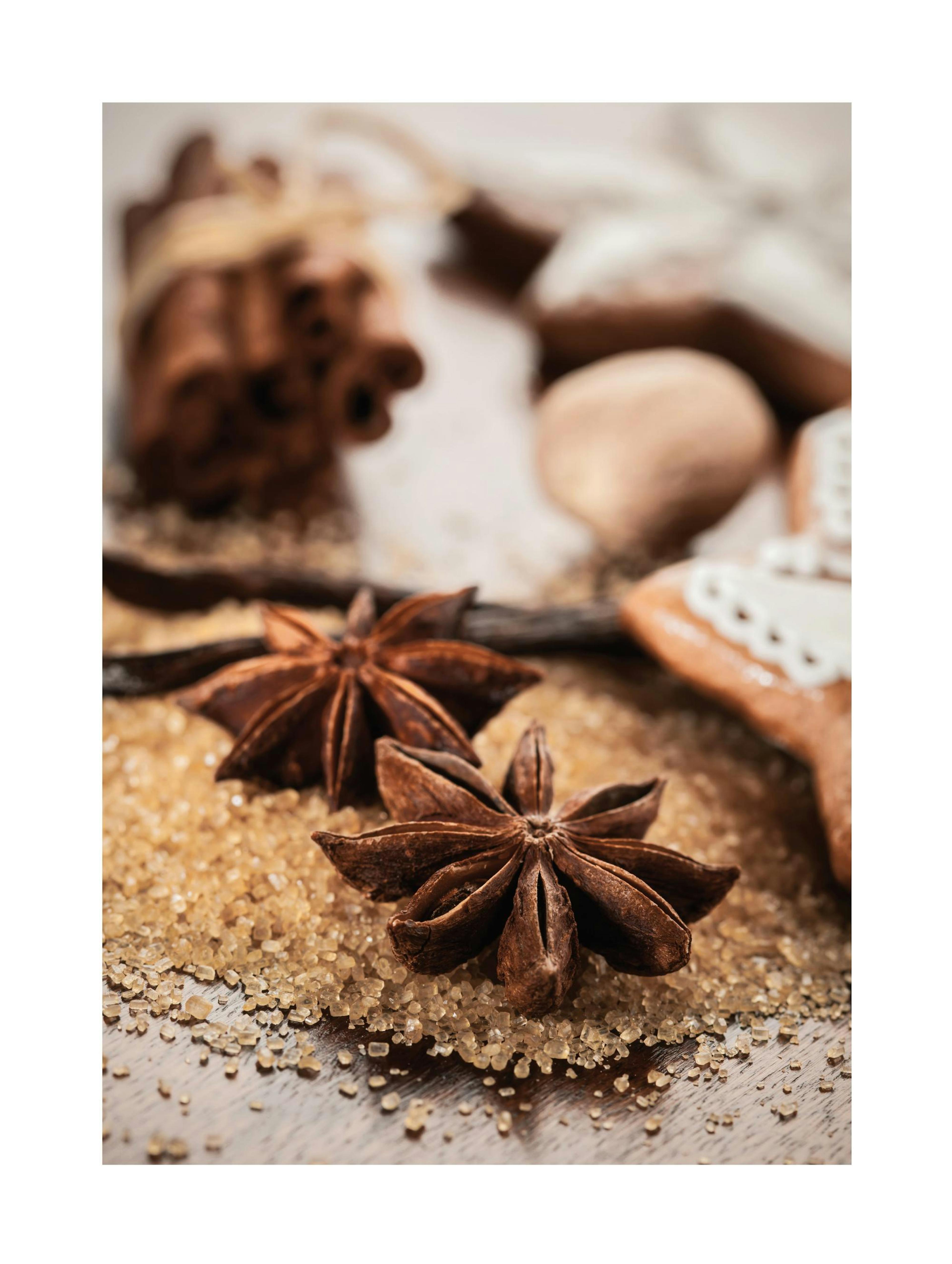 Anis & Cinnamon Plakat 0