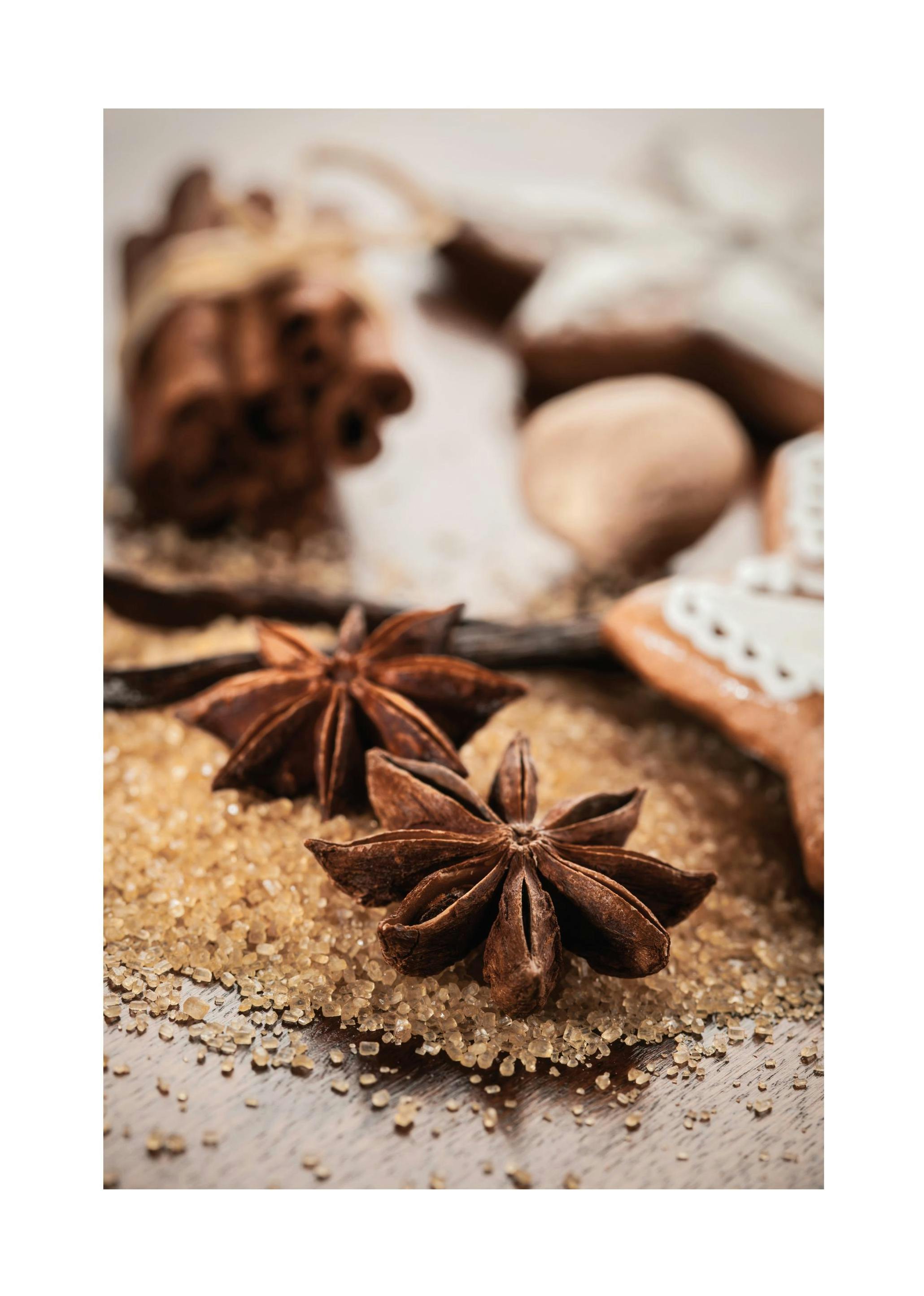 Anis & Cinnamon Poster (21x30 cm)