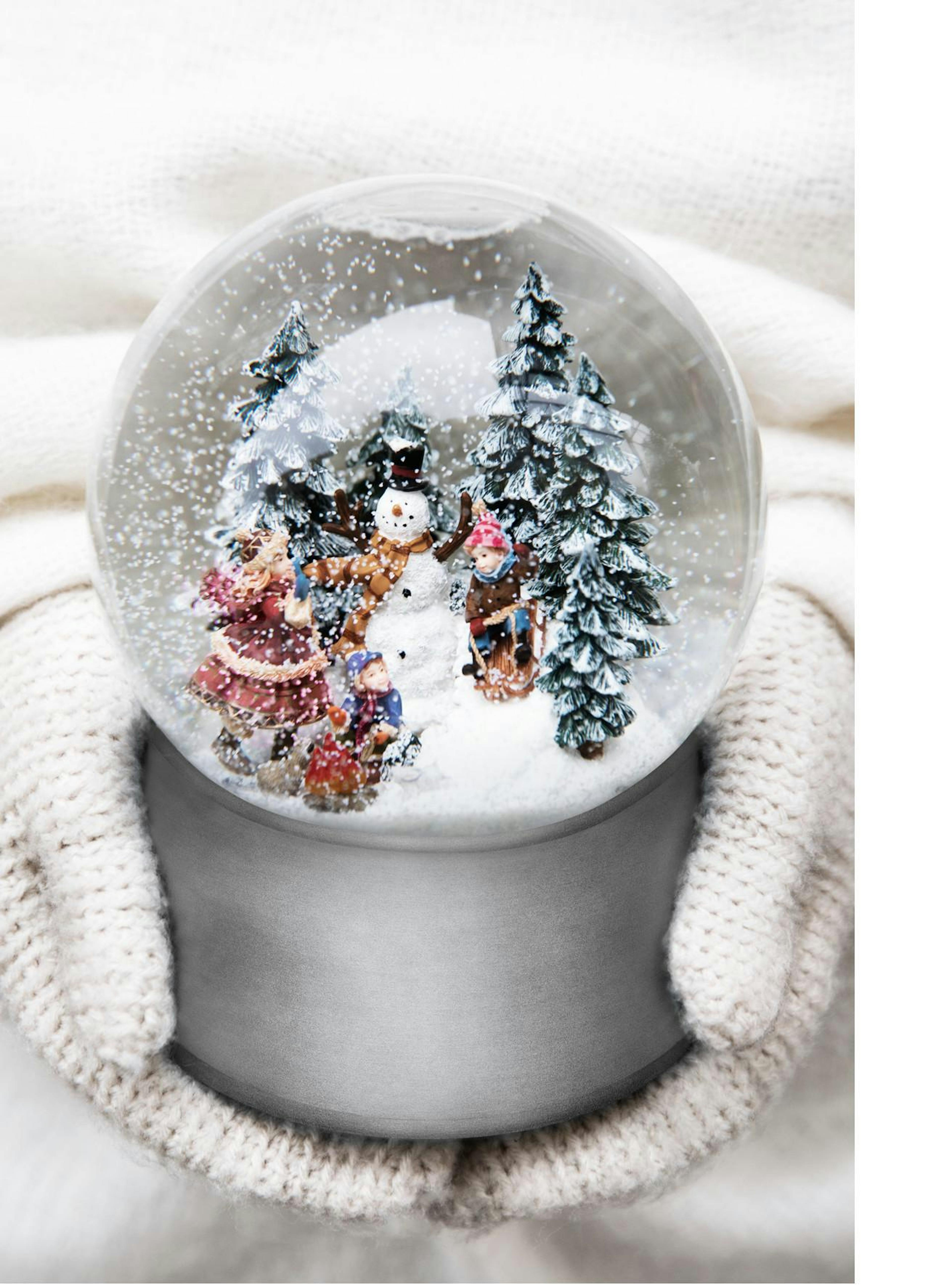 Snow Globe Poster