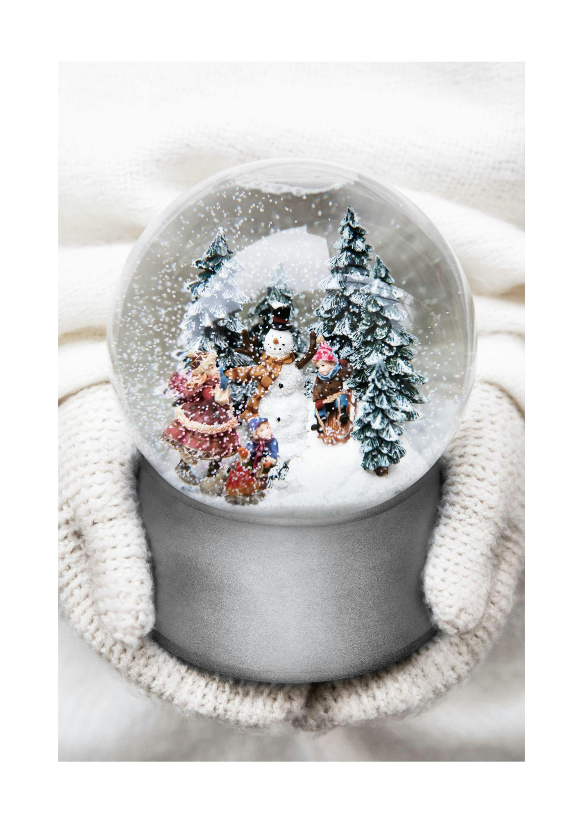 Snow Globe Poster 0