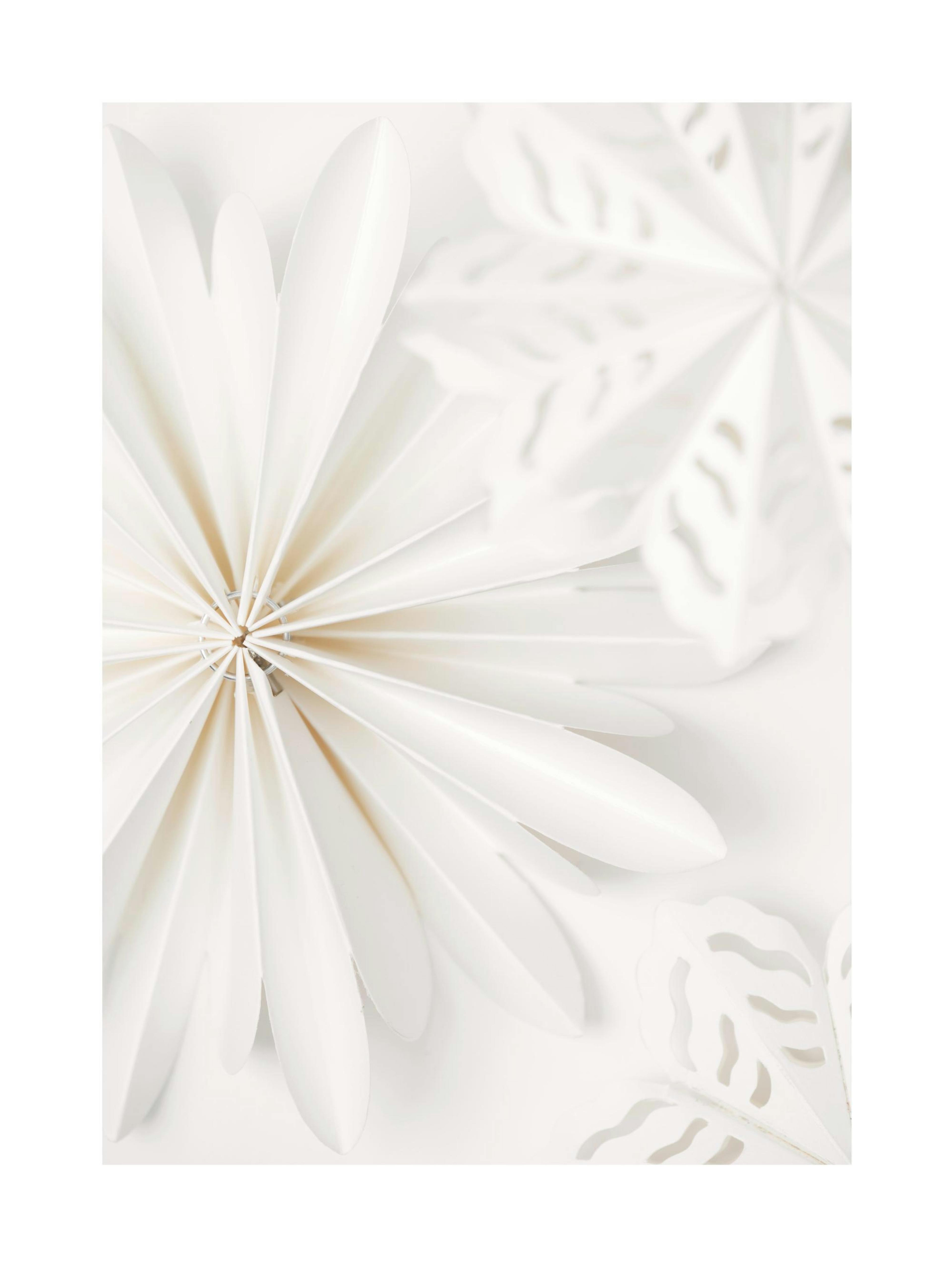 Paper Stars Poster 0