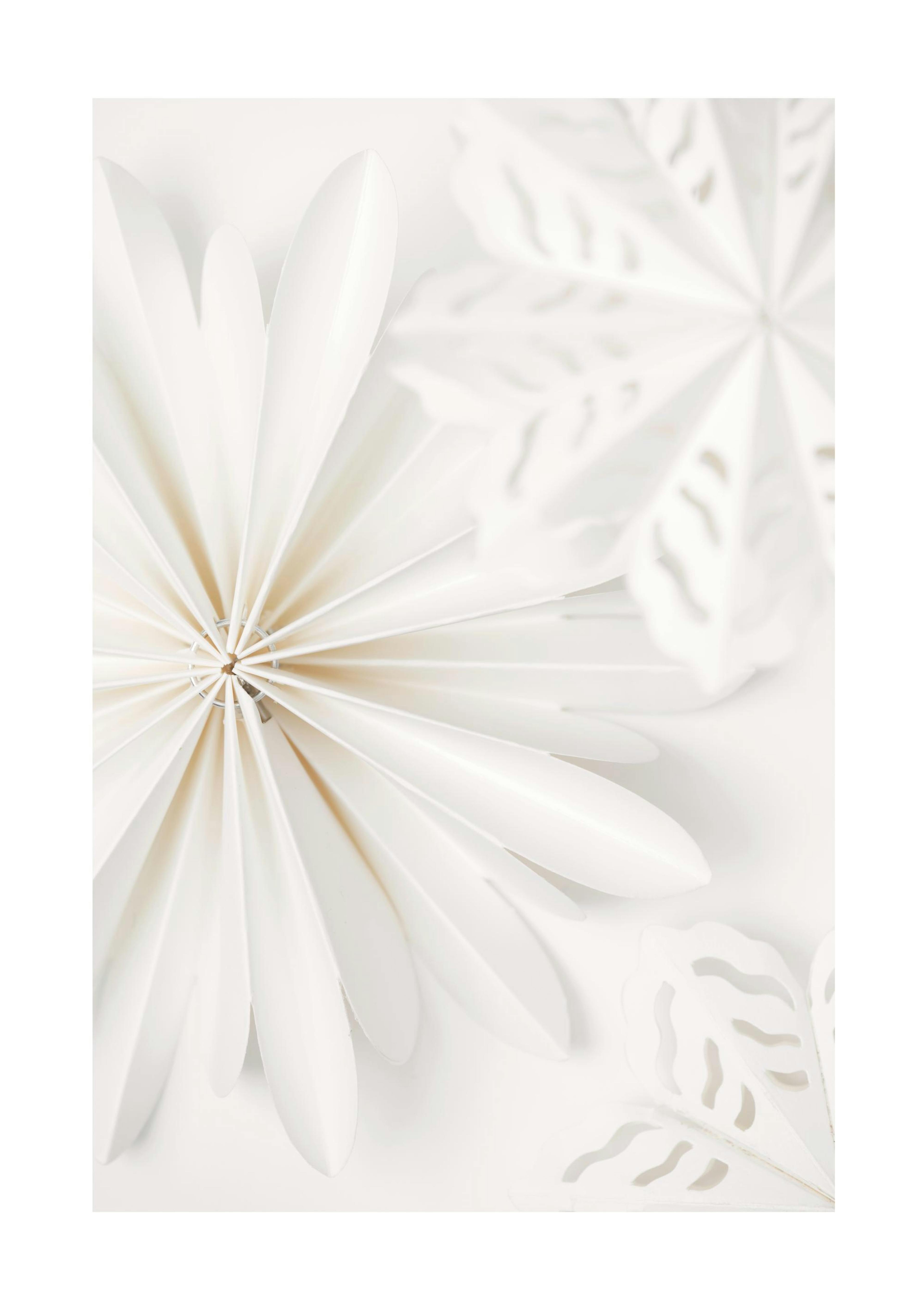 Paper Stars Affiche 0