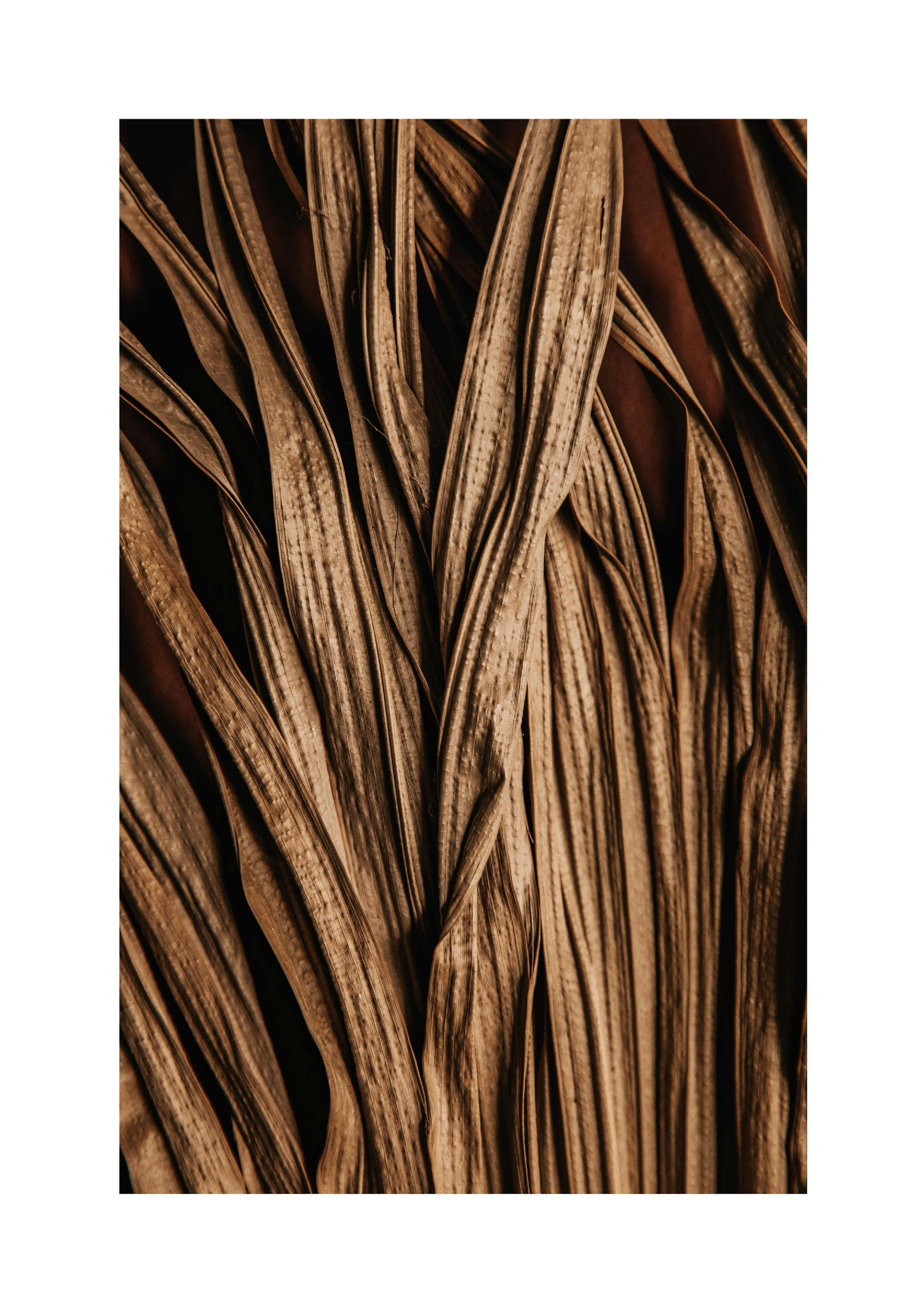 Product image: 1