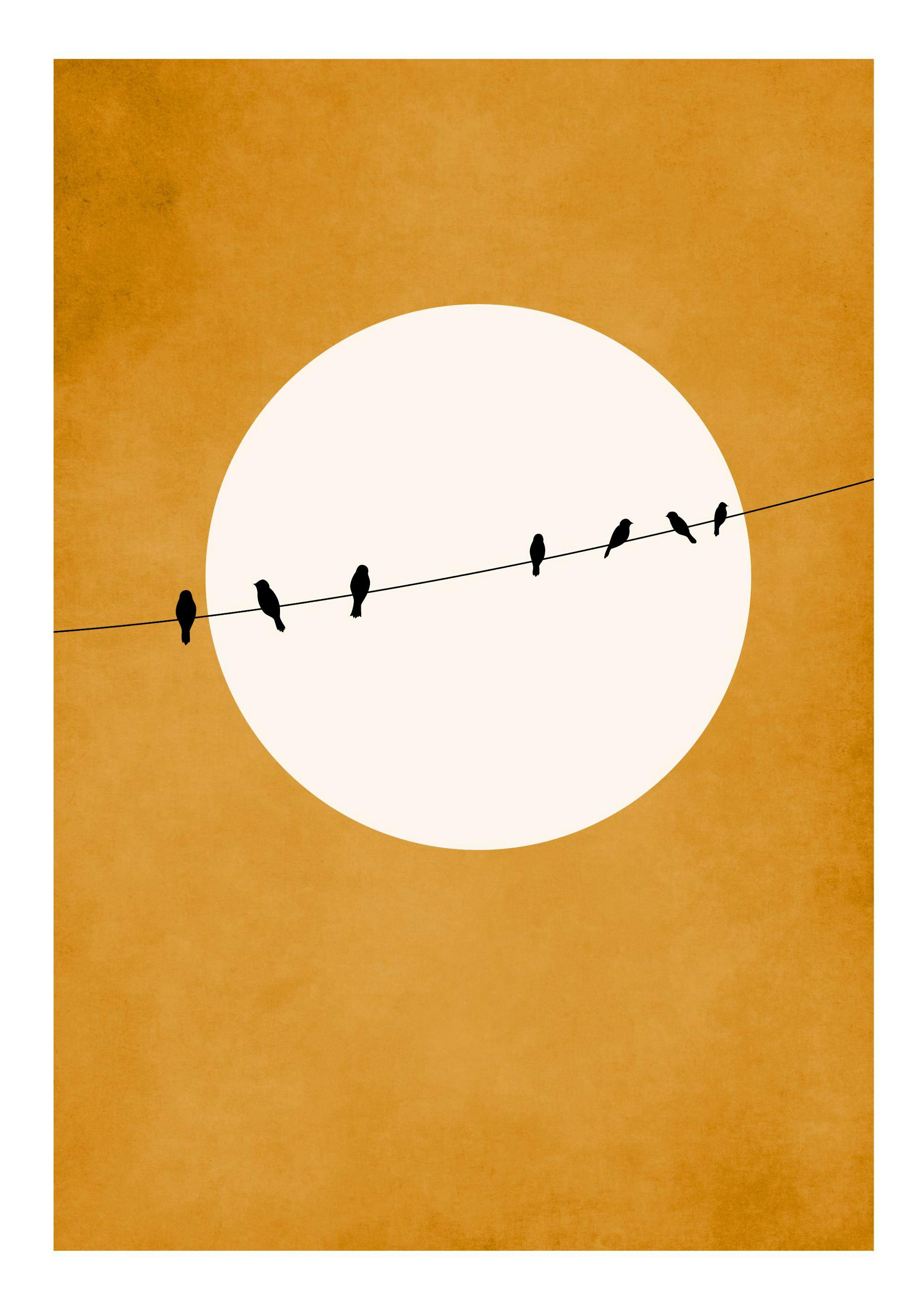 Boris Draschoff / Kubistika - Chirping and Chilling 포스터 0