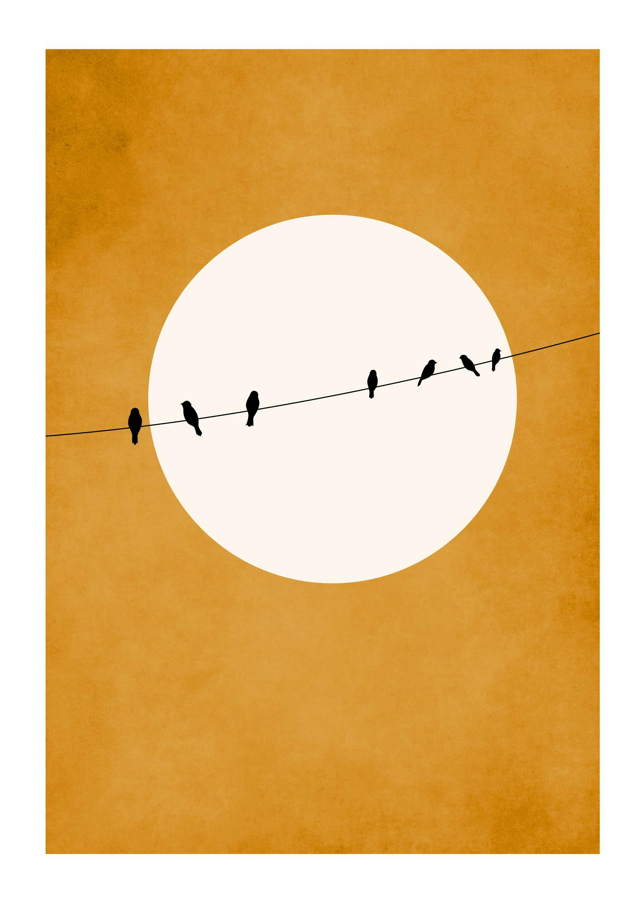 Boris Draschoff / Kubistika - Chirping and Chilling Poster (50x70 cm) - Grafische posters