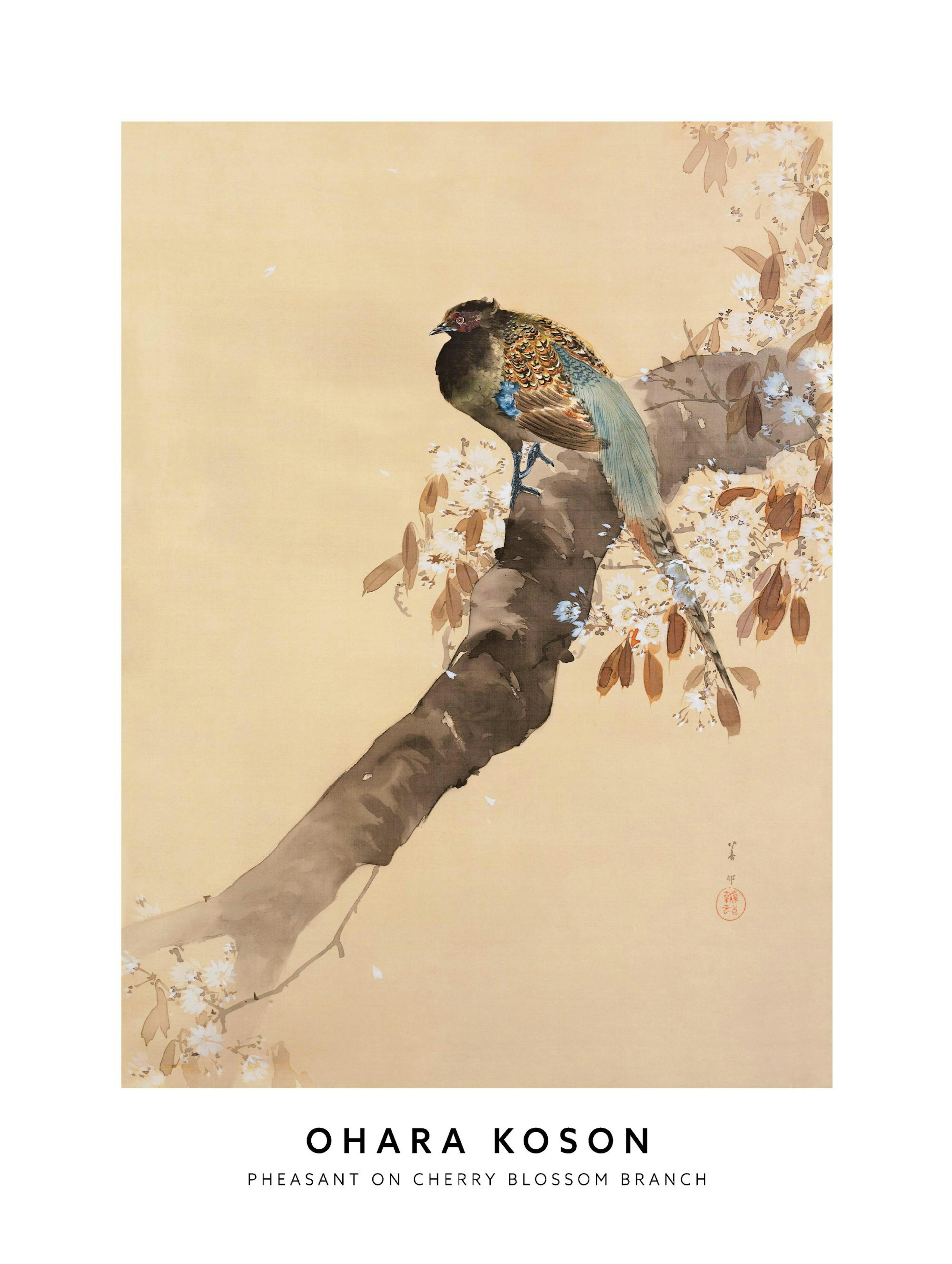 Ohara Koson - Pheasant on Cherry Blossom Branch Print