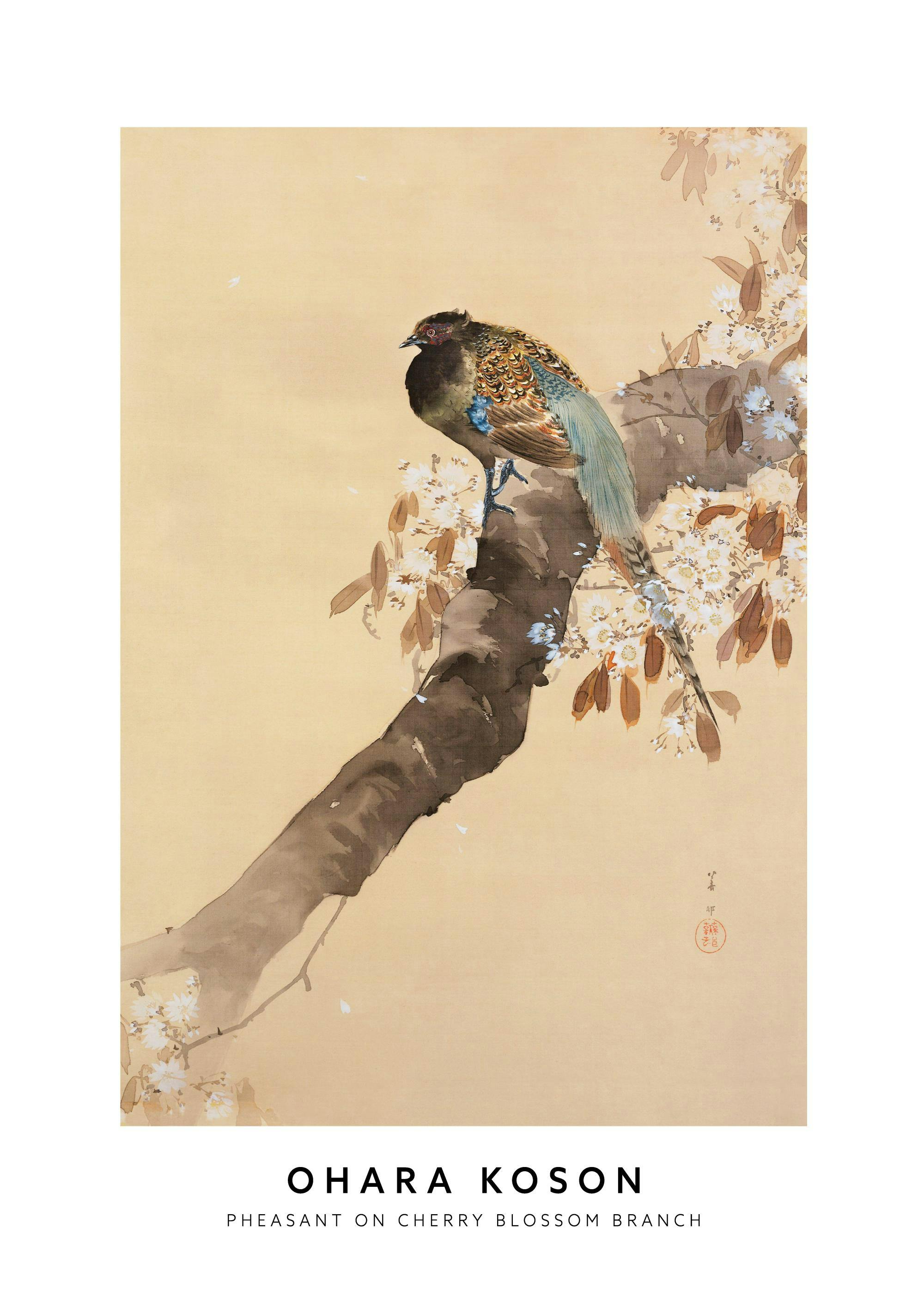 Ohara Koson - Pheasant on Cherry Blossom Branch Poster 0