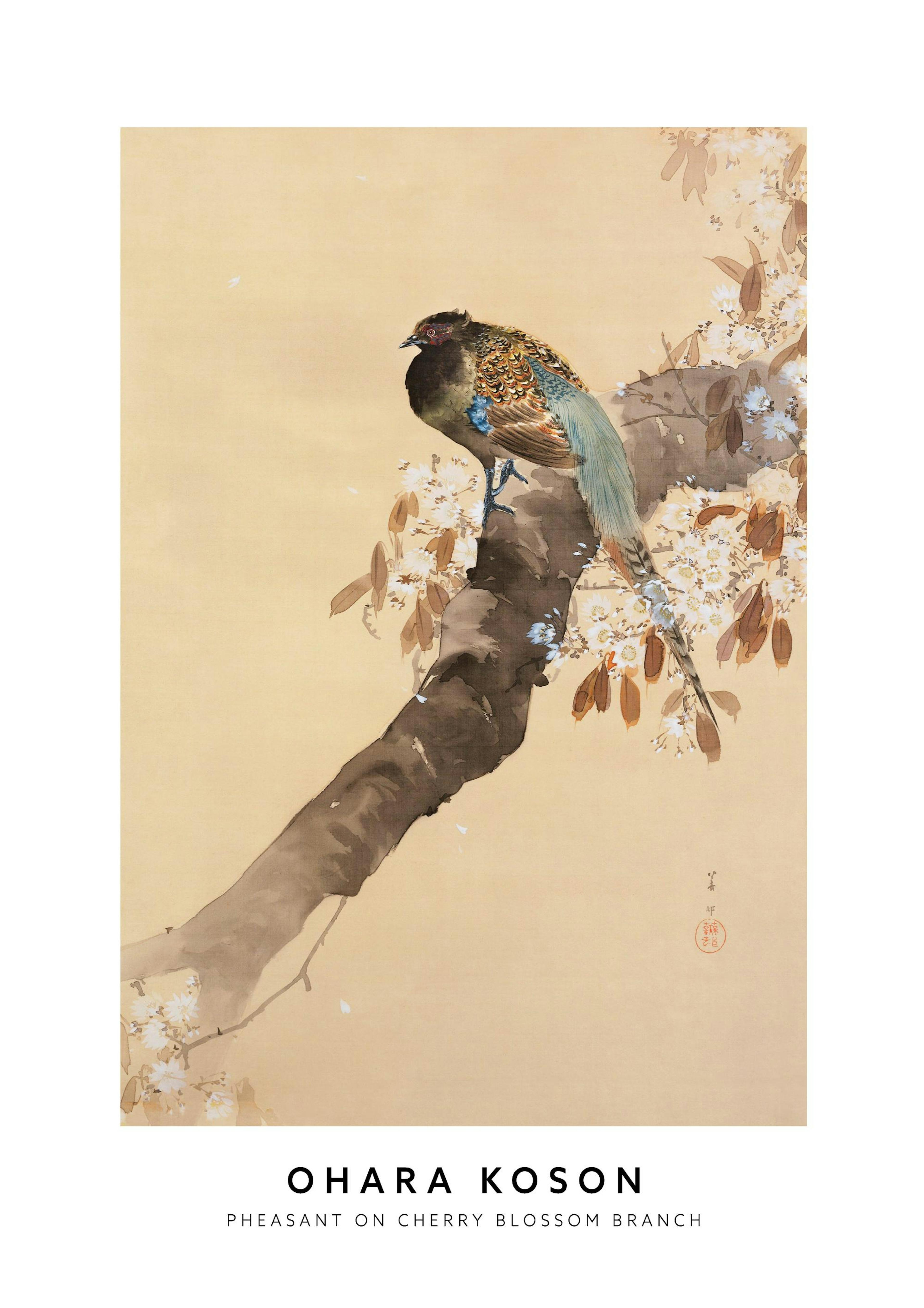 Ohara Koson - Pheasant on Cherry Blossom Branch Print 0