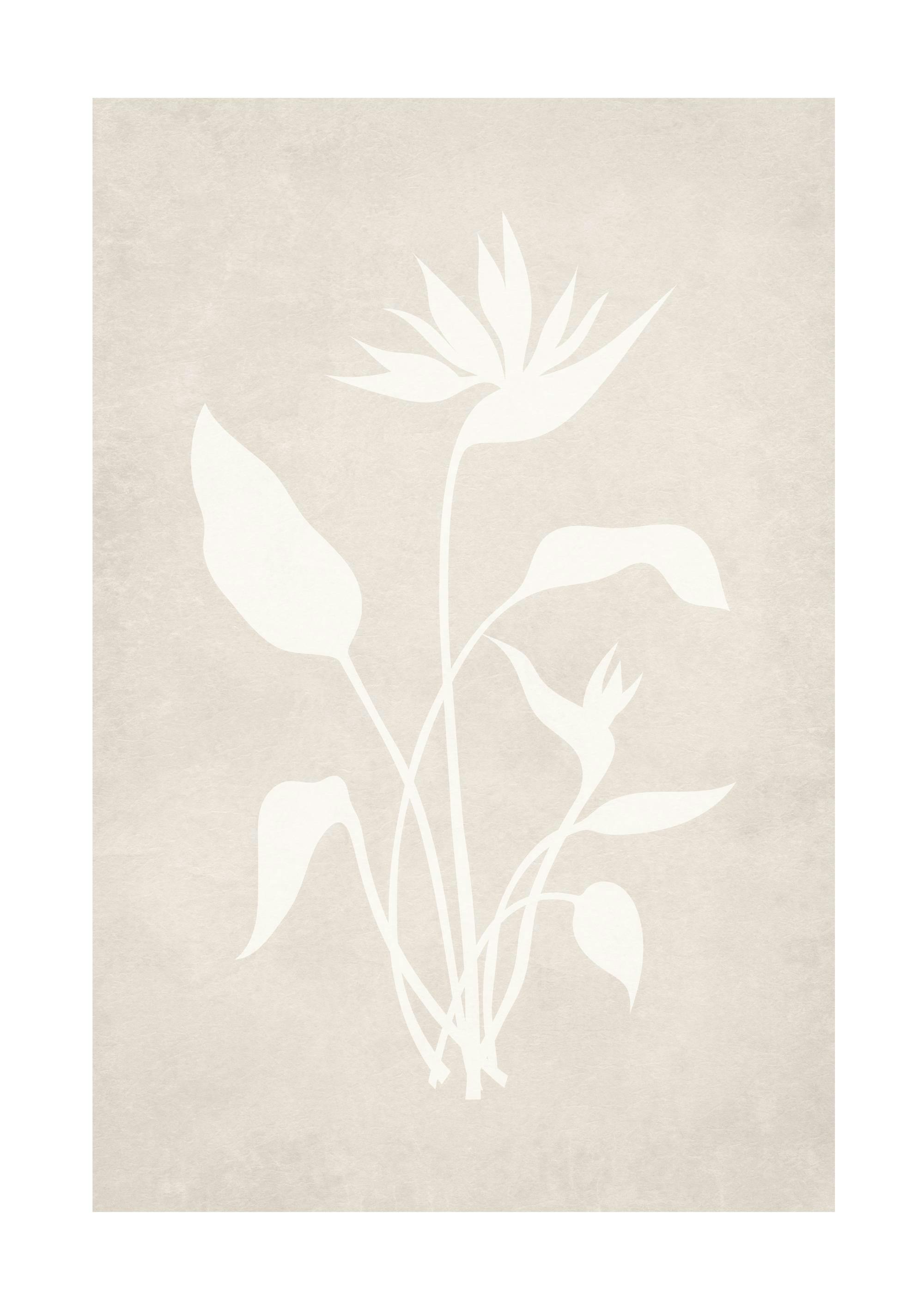 Beige Silhouette No1 Poster 0