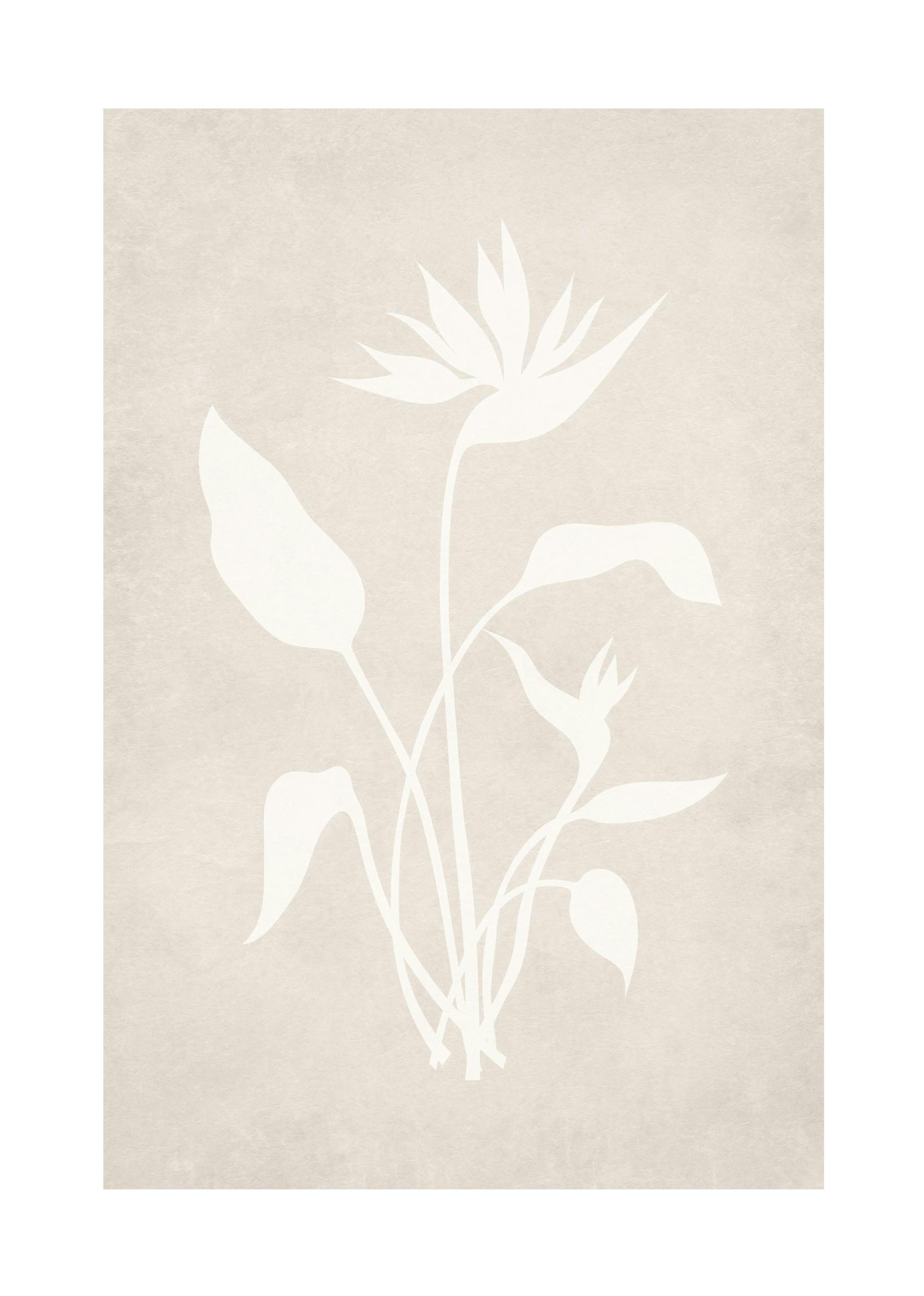 Beige Silhouette No1 Poster (21x30 cm) - Poster