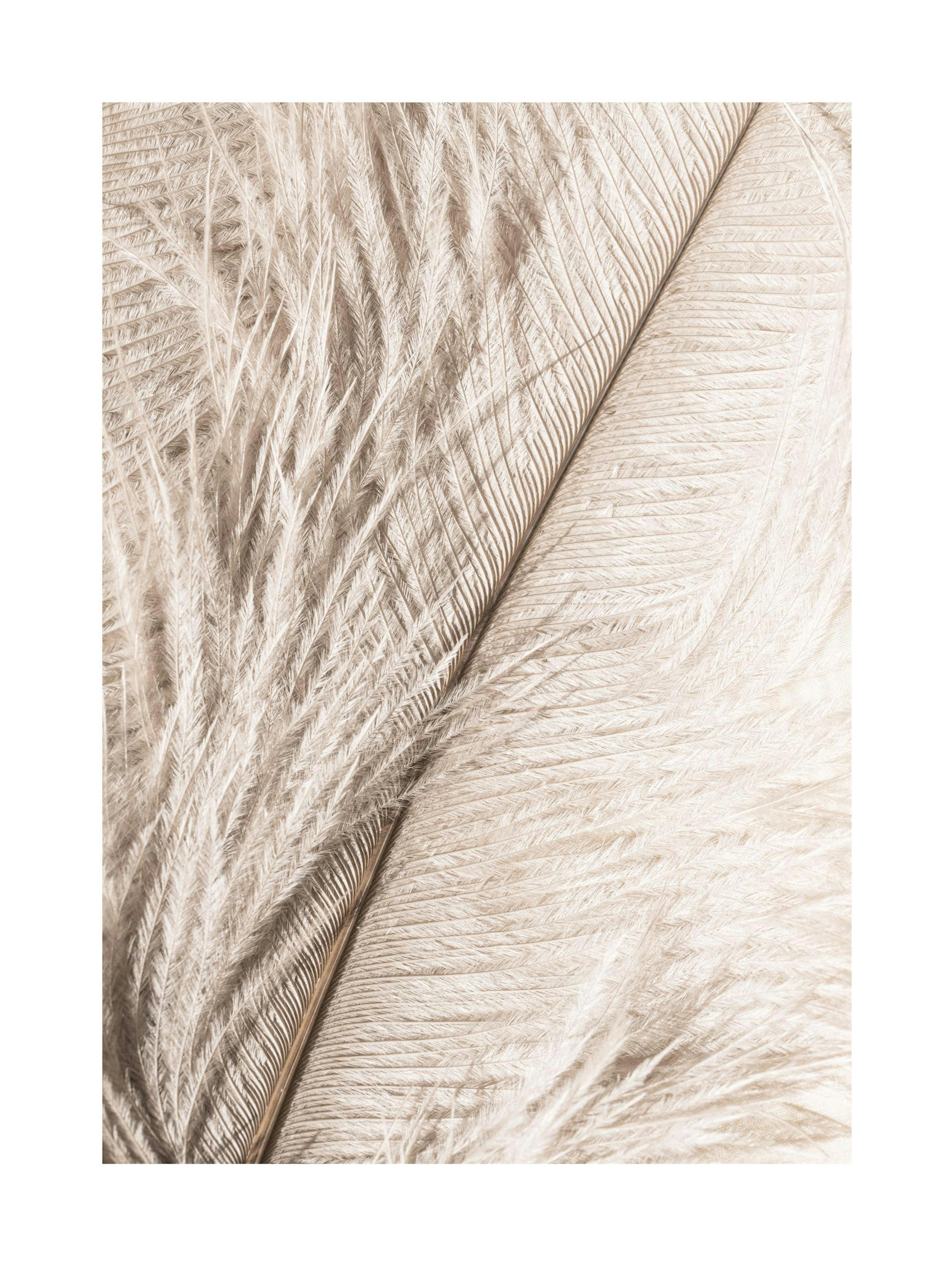 Product image: 1