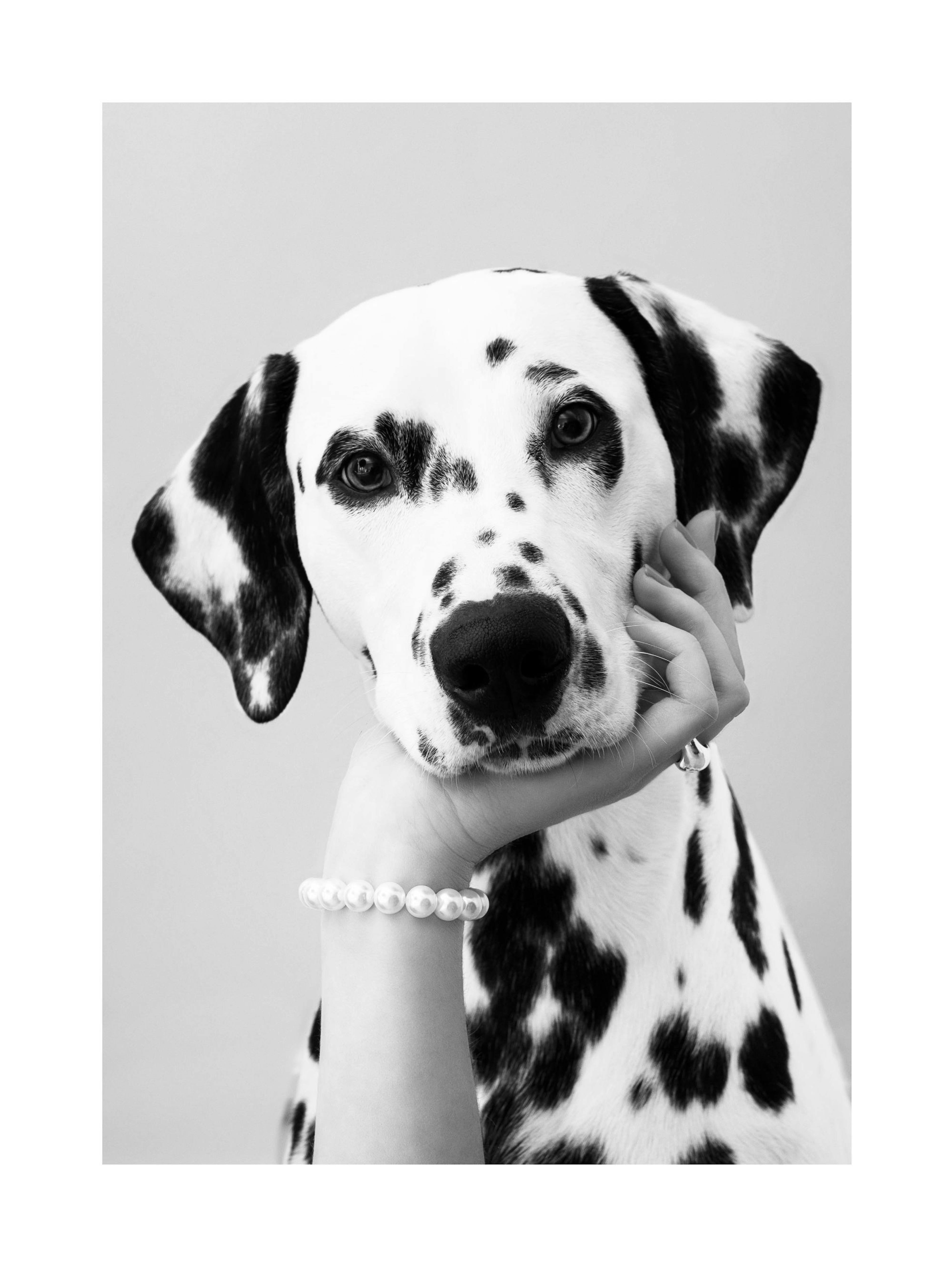 Product image: 1