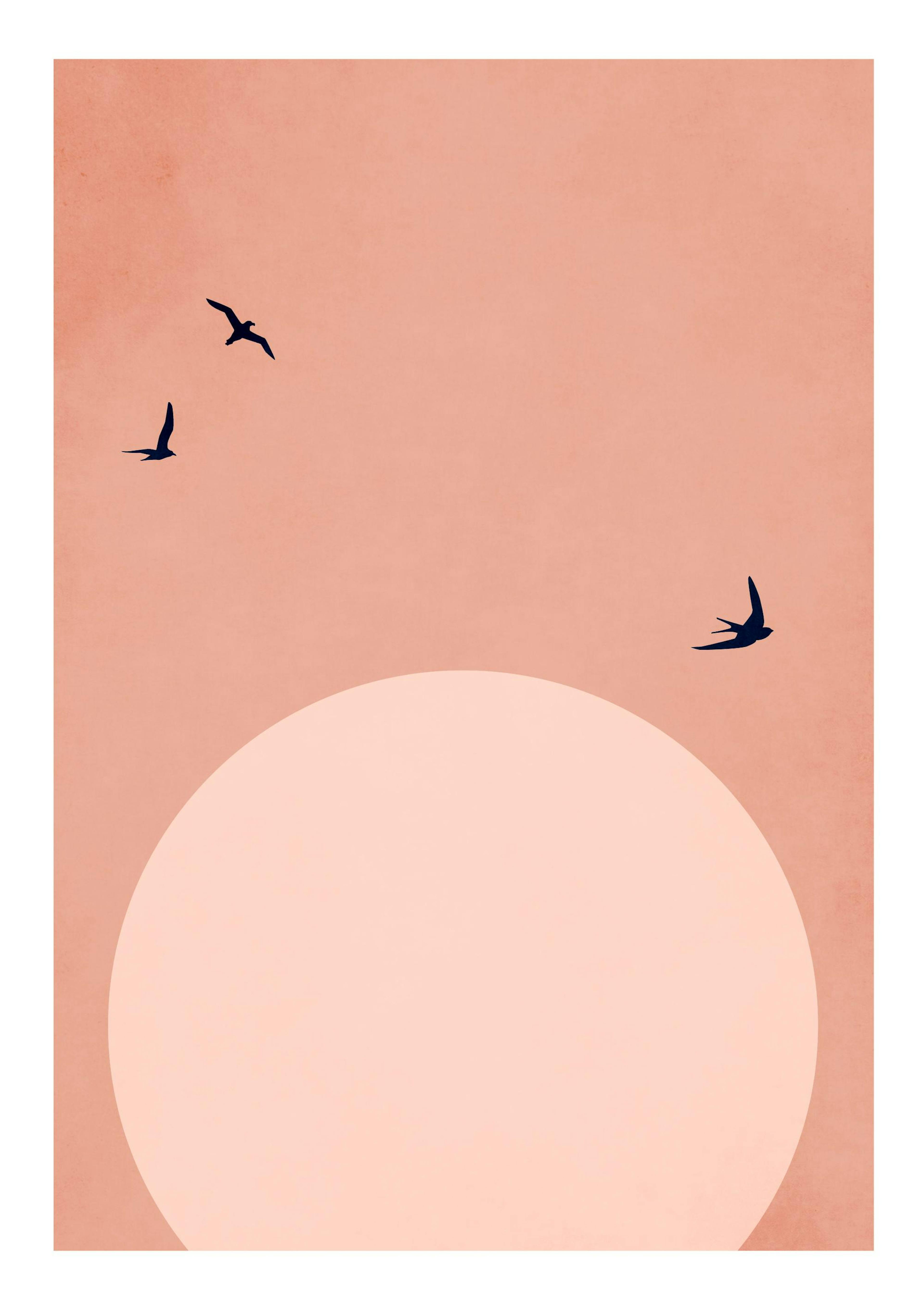 Boris Draschoff / Kubistika - The Beauty of Life Poster 0