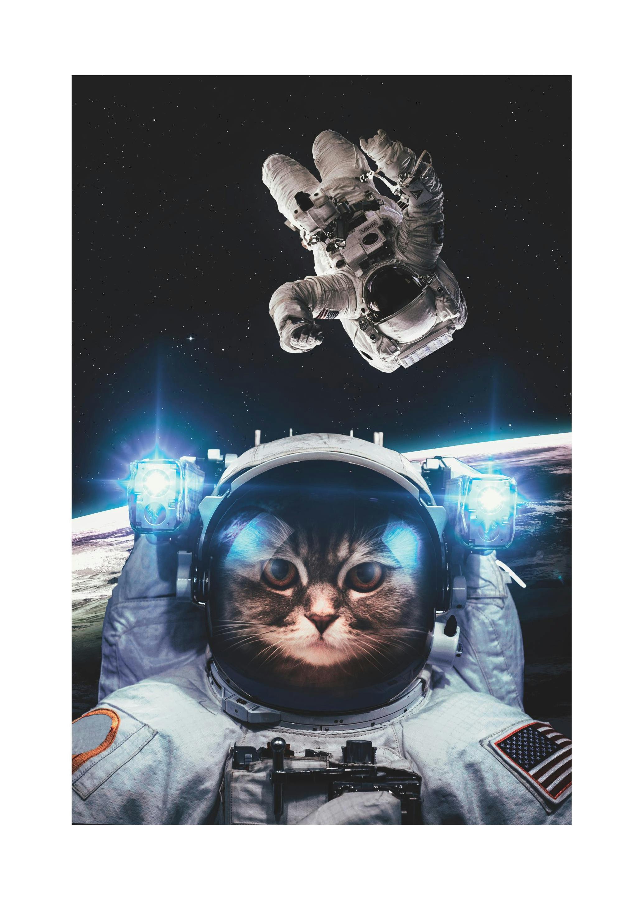 Cat in Space Poster (30x40 cm)