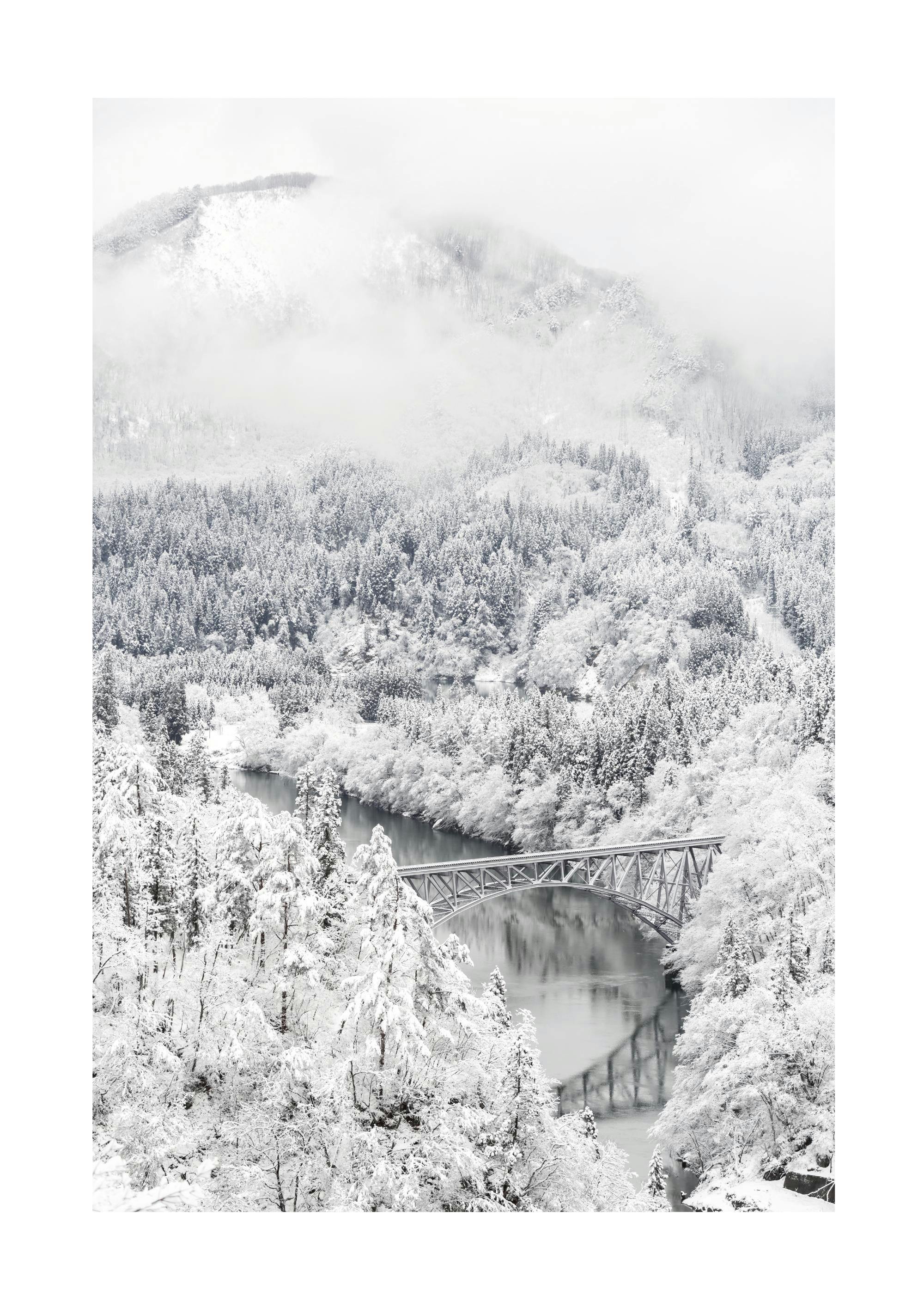 Frozen Landscape Poster 0