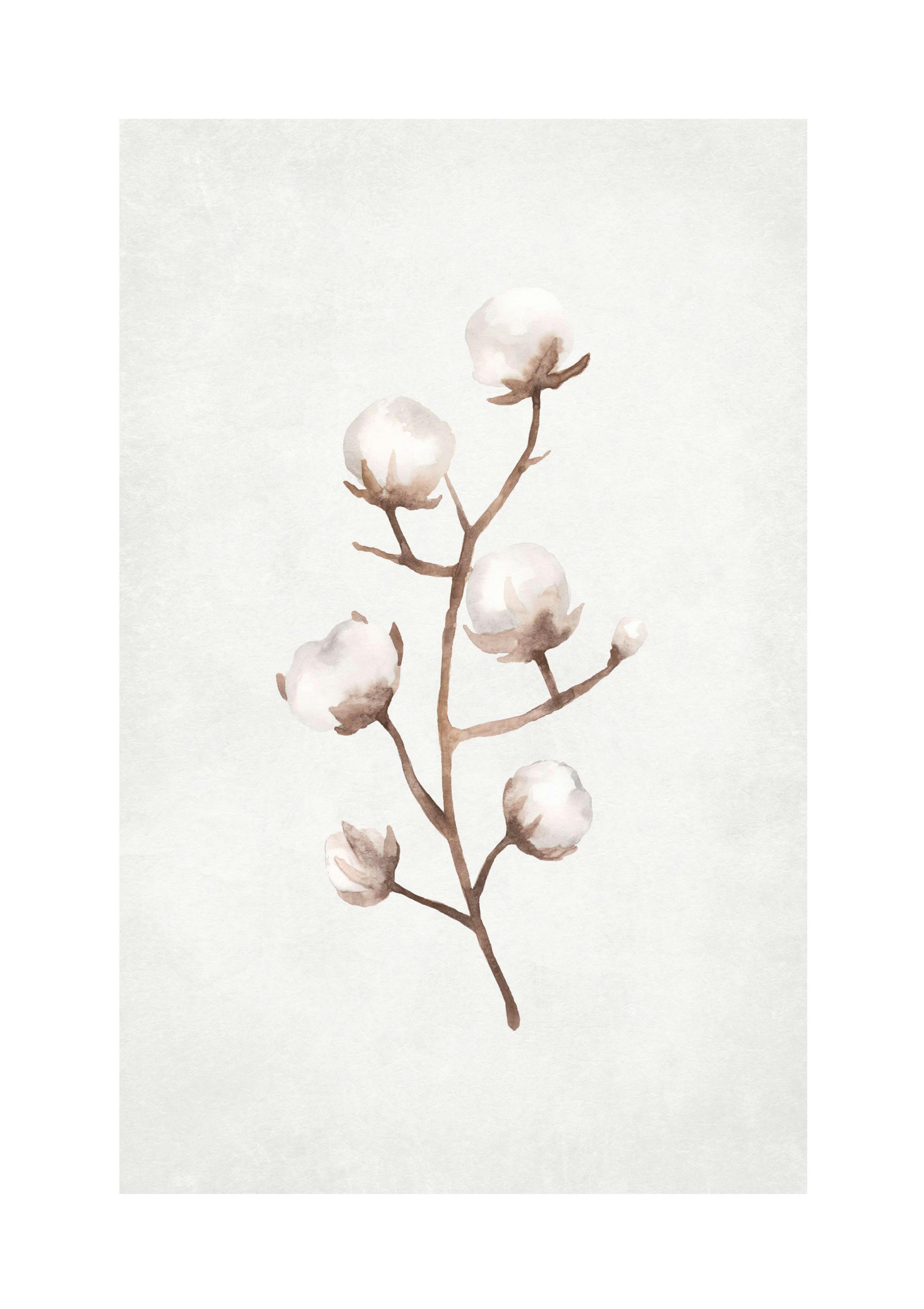 Product image: 1