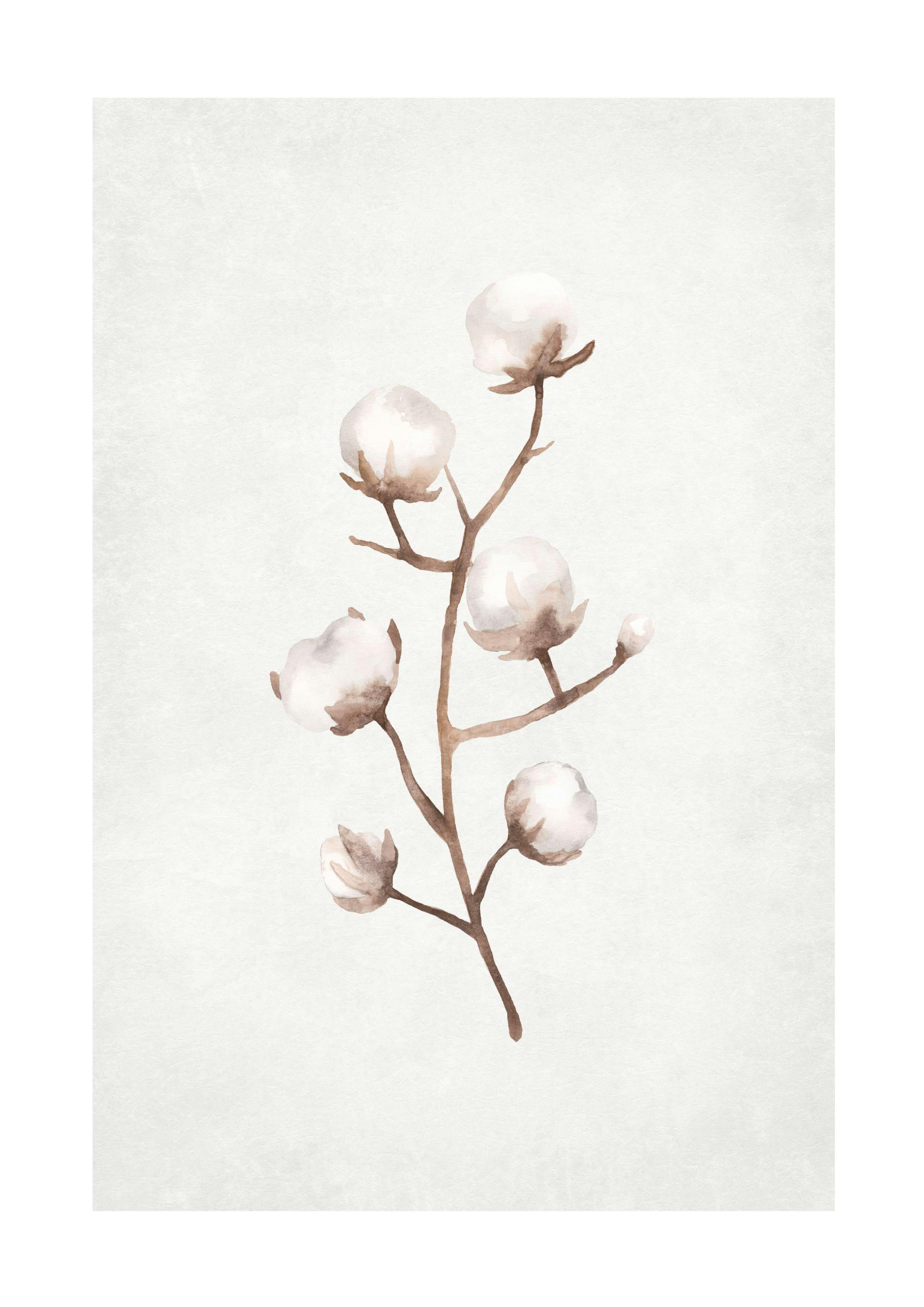 Frozen Cotton Branch Juliste 0