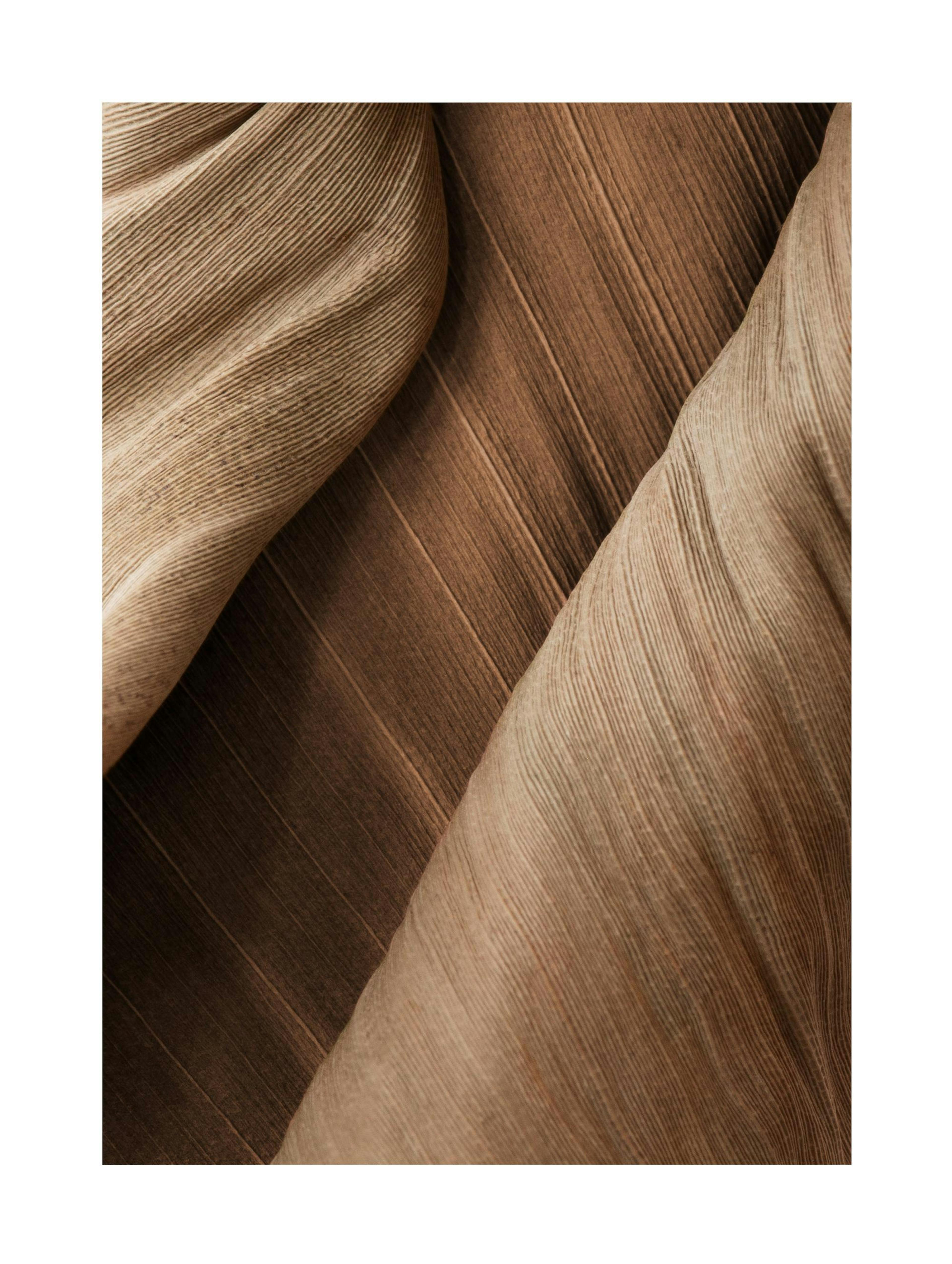 Brown Close Up Poster