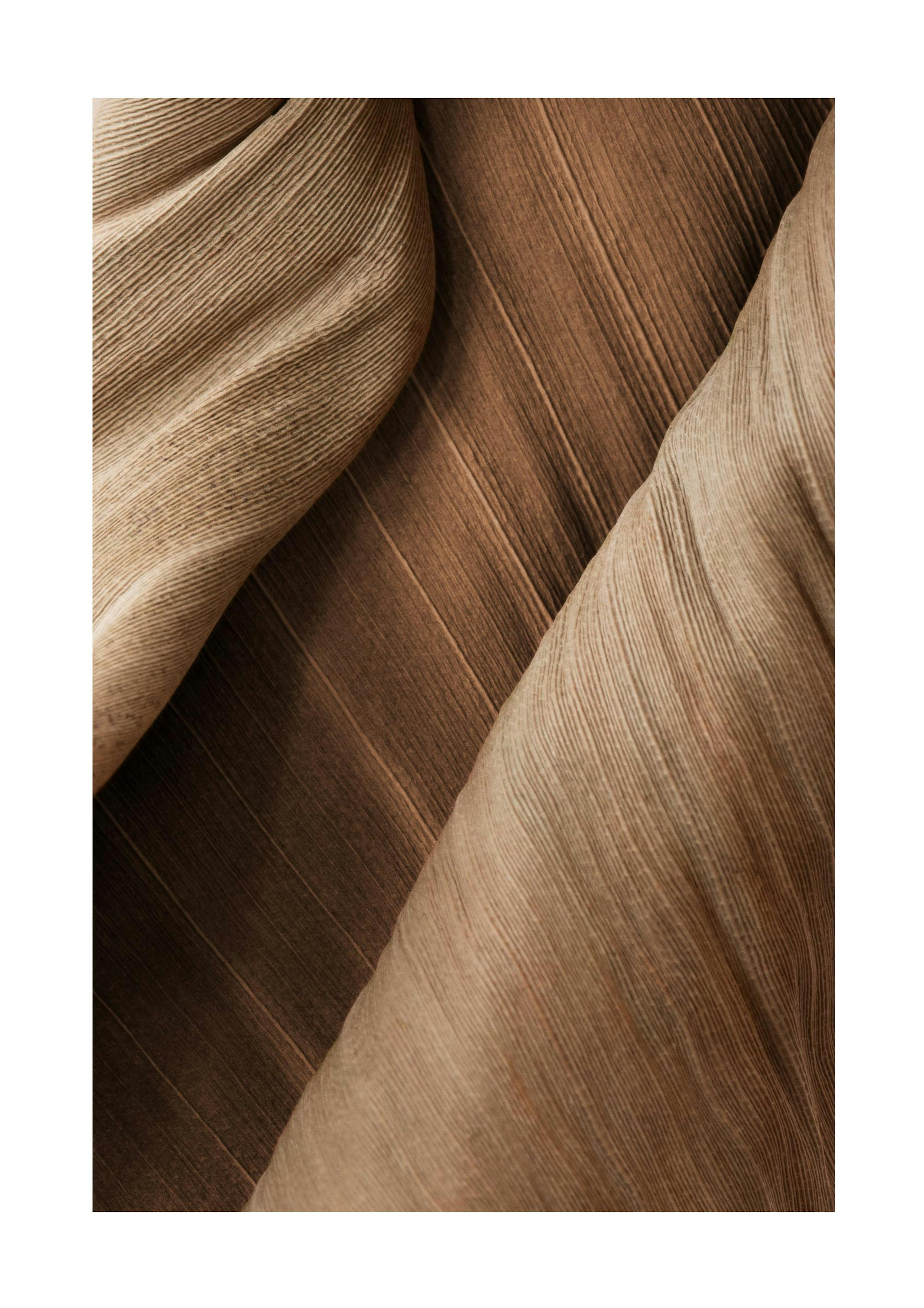 Brown Close Up Poster 0