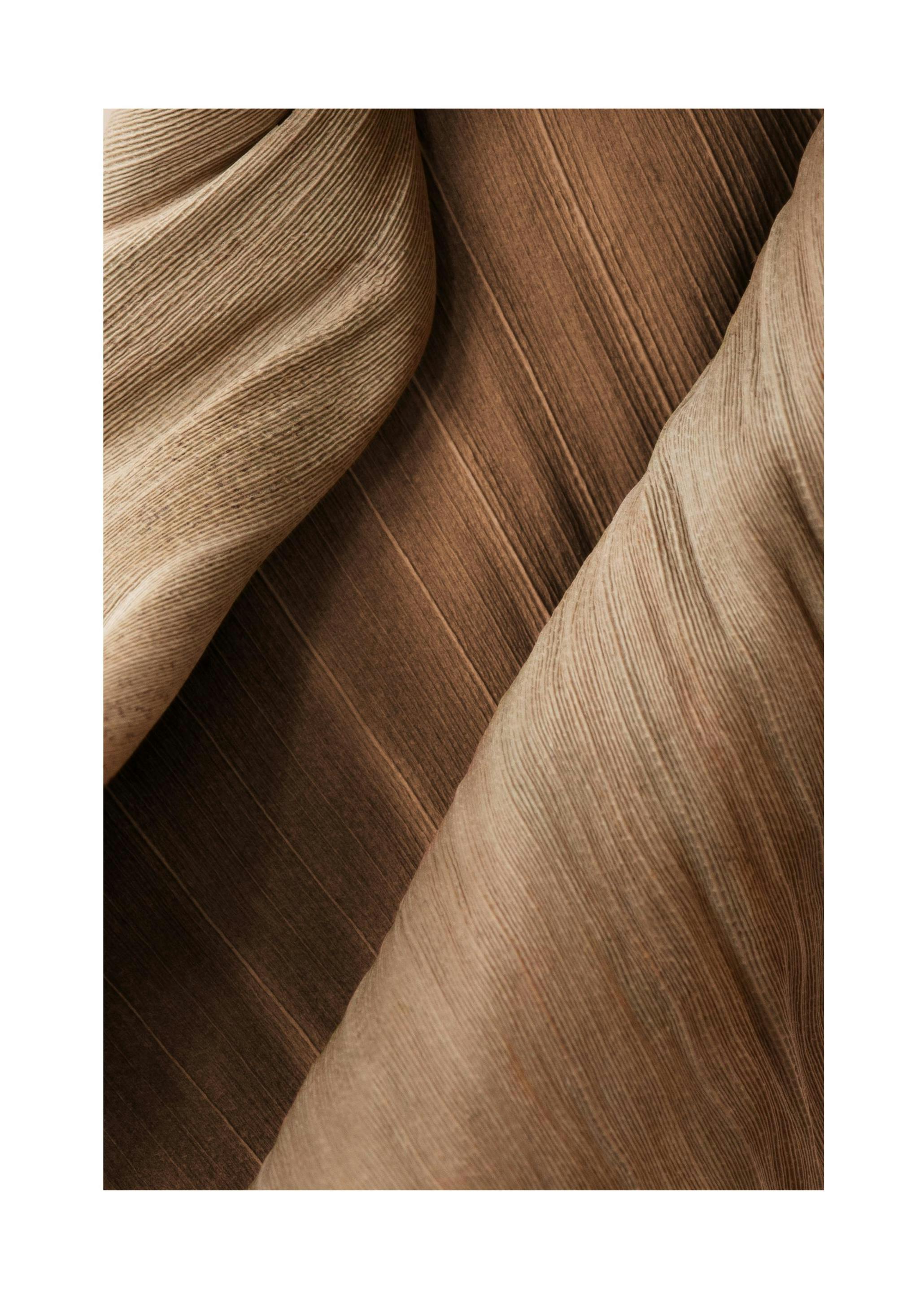 Brown Close Up Affiche (30x40 cm)