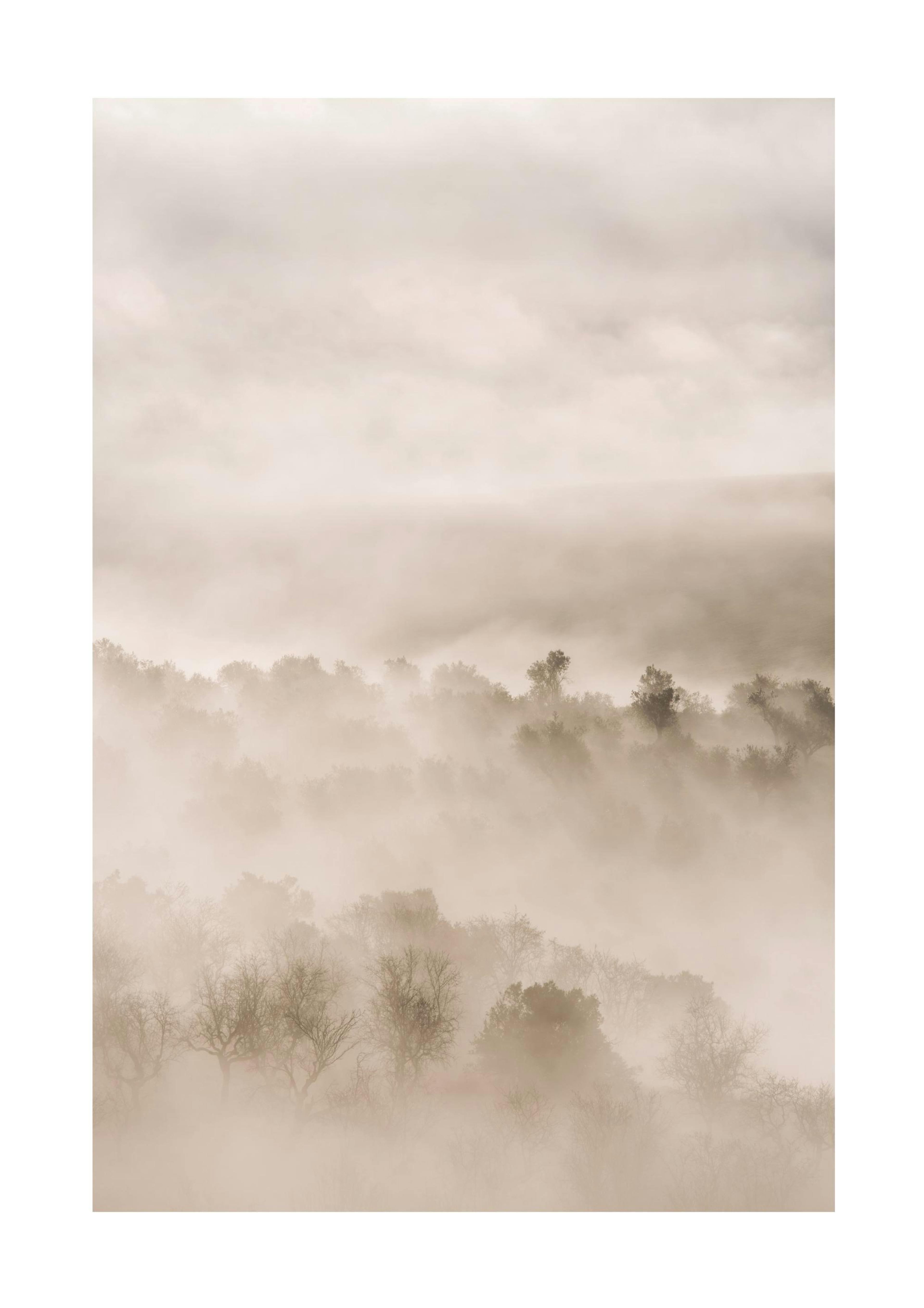 Foggy Landscape Print 0