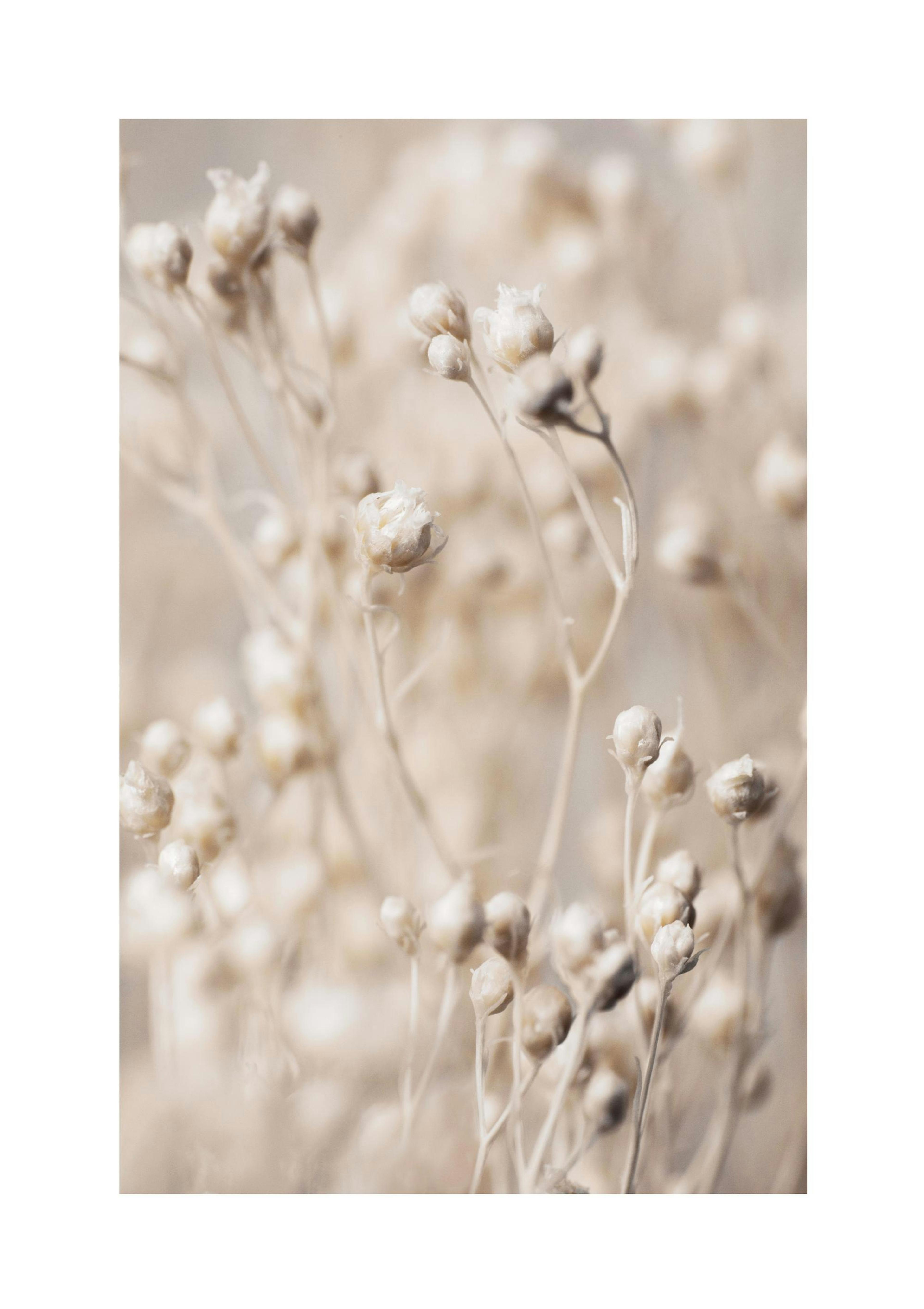 Product image: 1