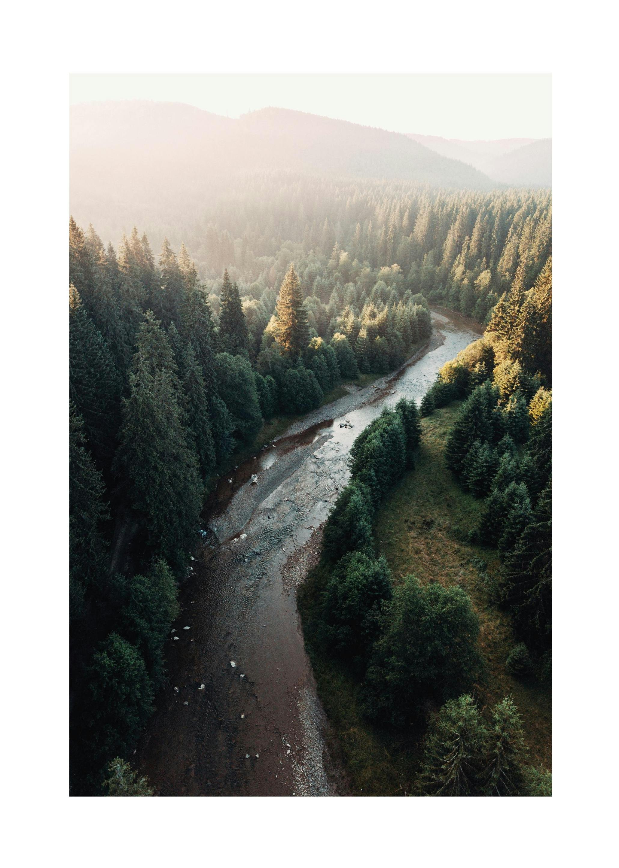 River in Forest Poster (30x40 cm)-Poster