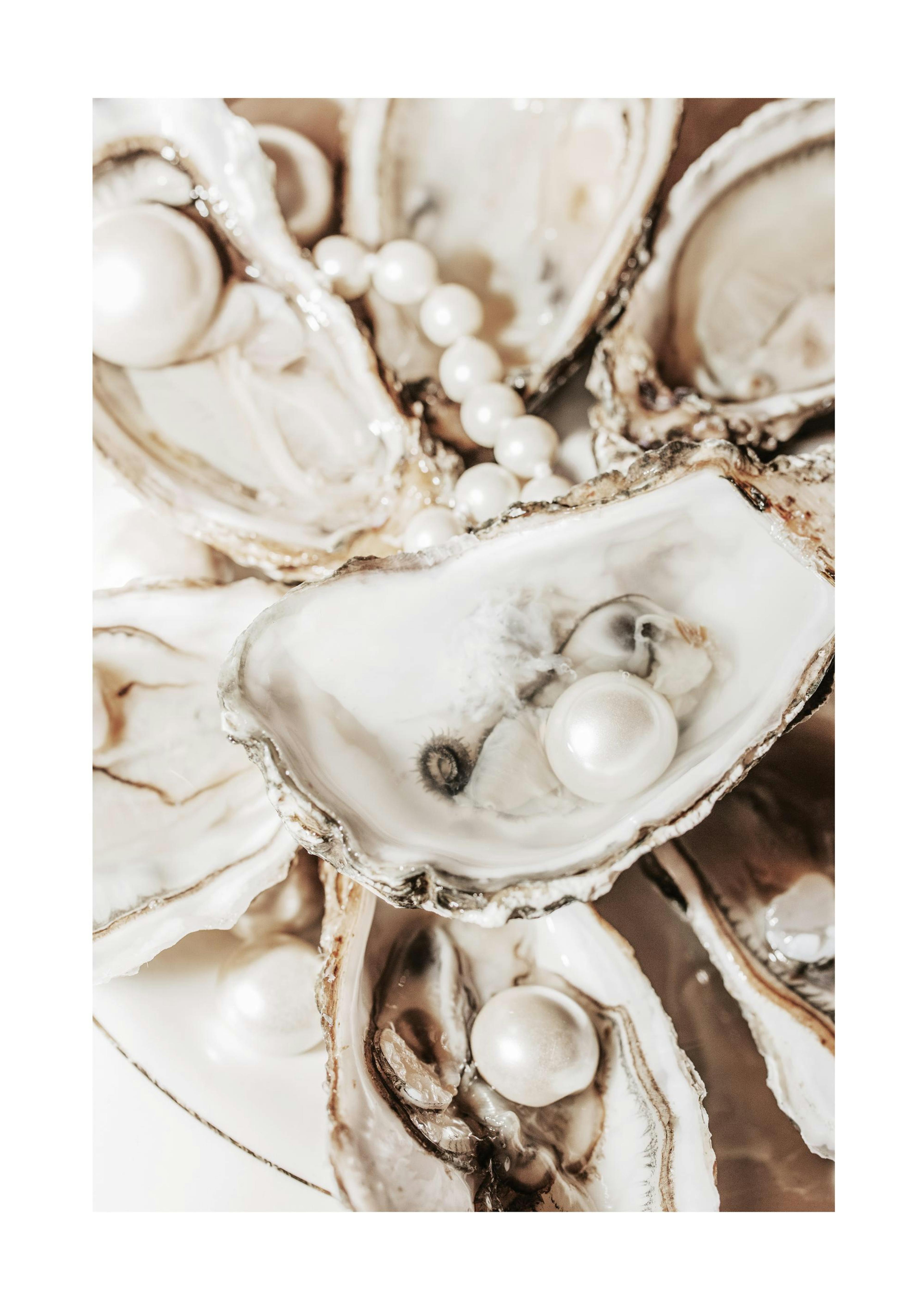 Glamorous Oysters Print 0