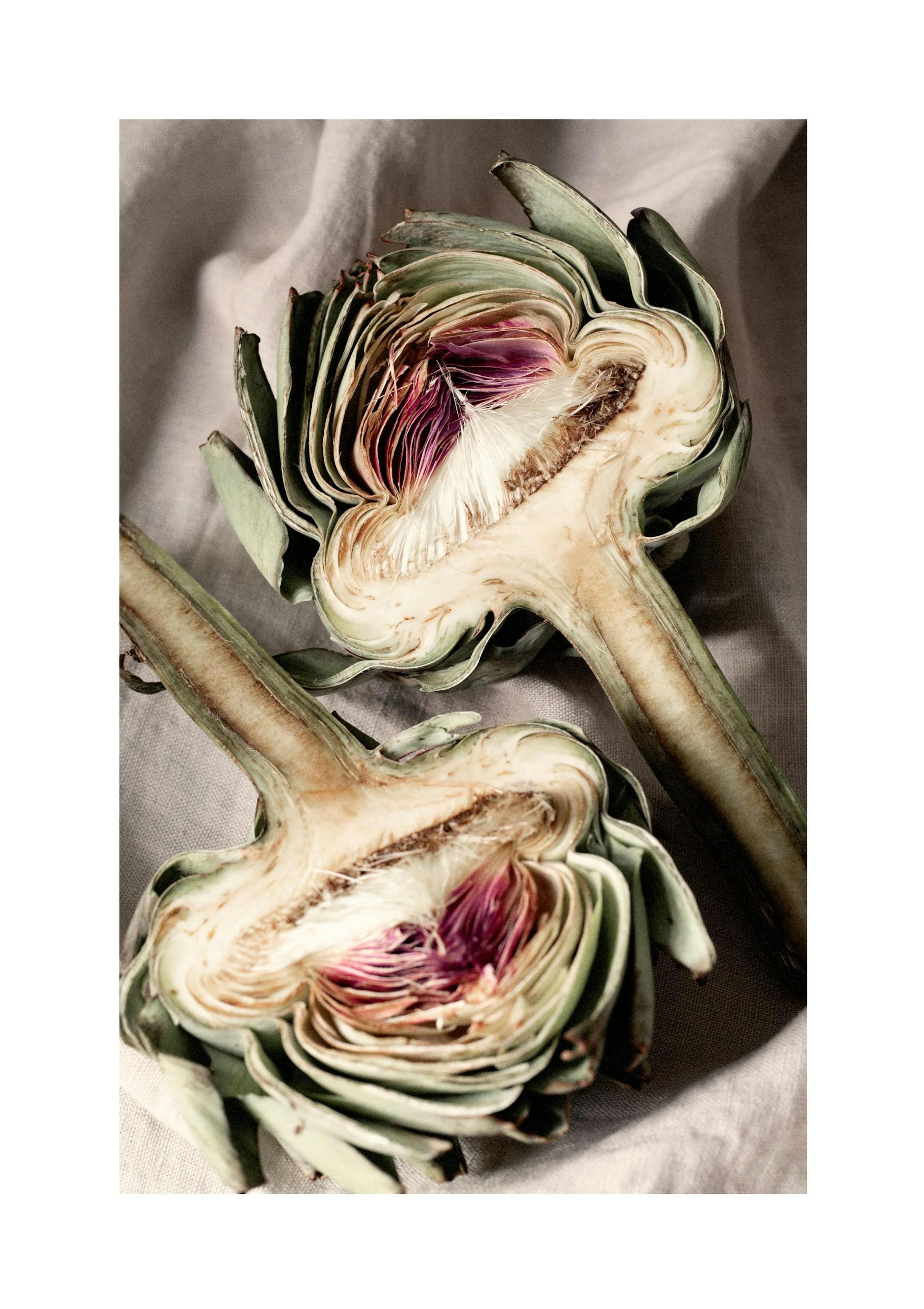 Soft Artichokes Print