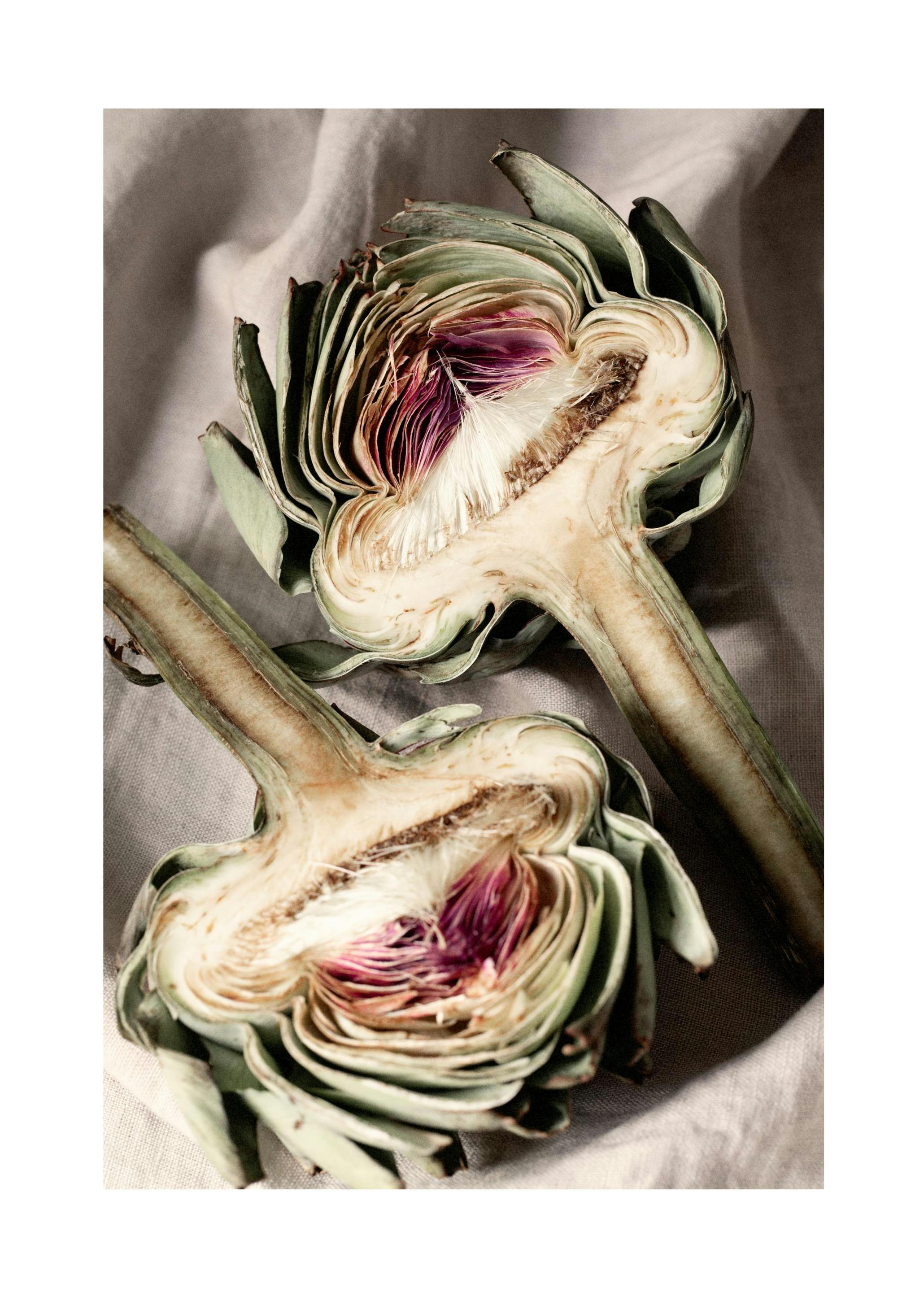 Soft Artichokes Poster (50x70 cm) - Poster