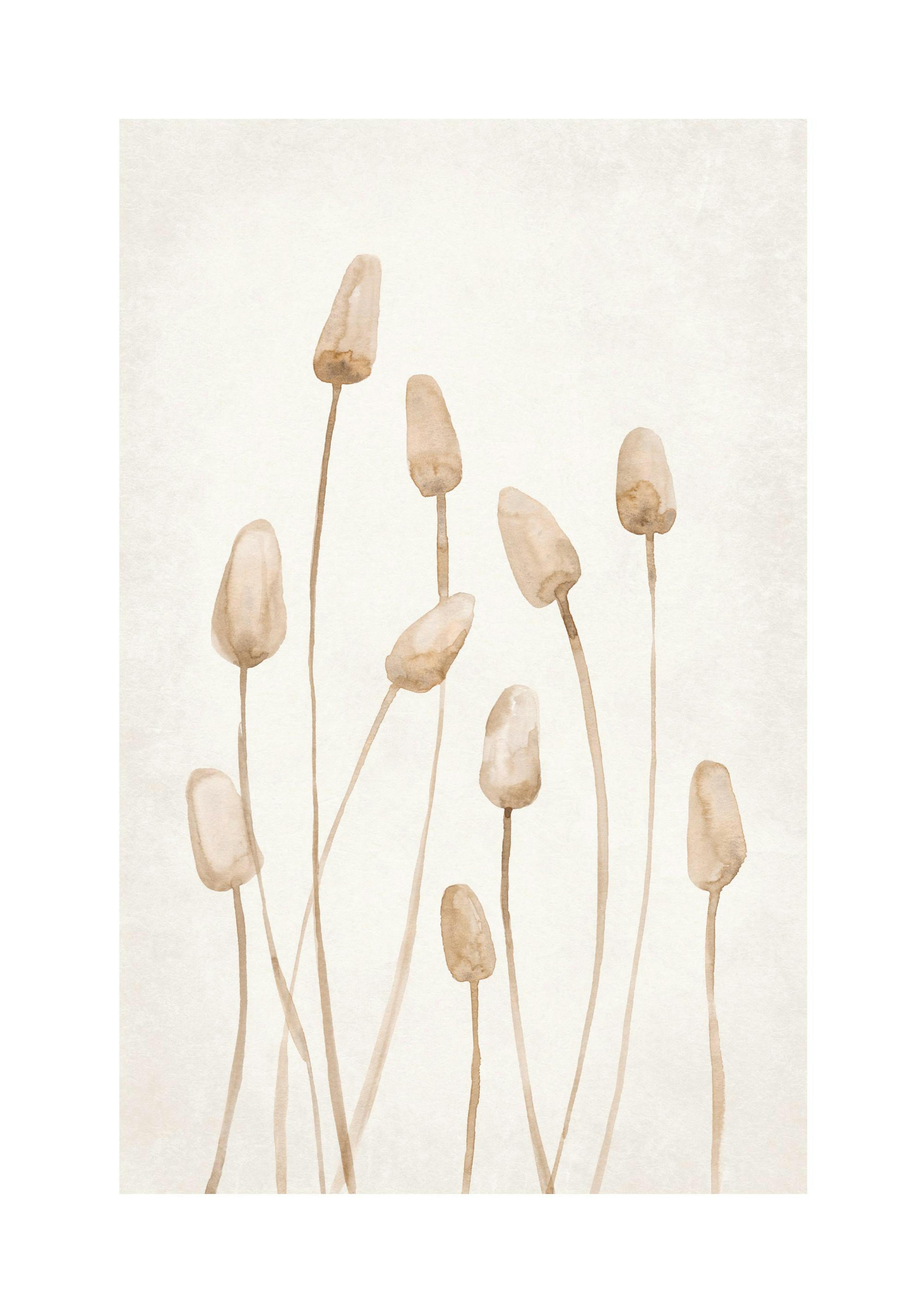 Watercolor Dried Plants Poster