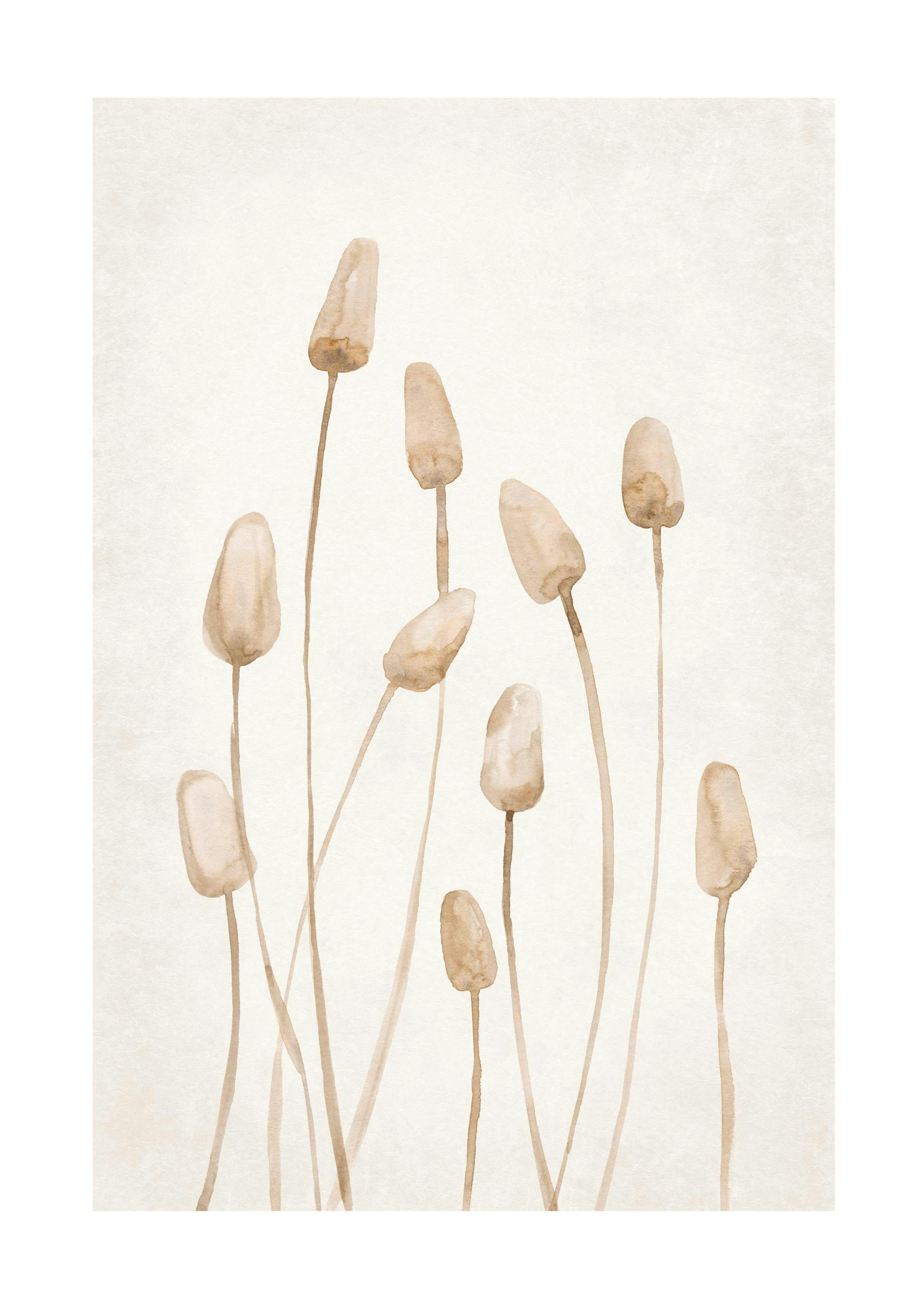 Watercolor Dried Plants Print 0