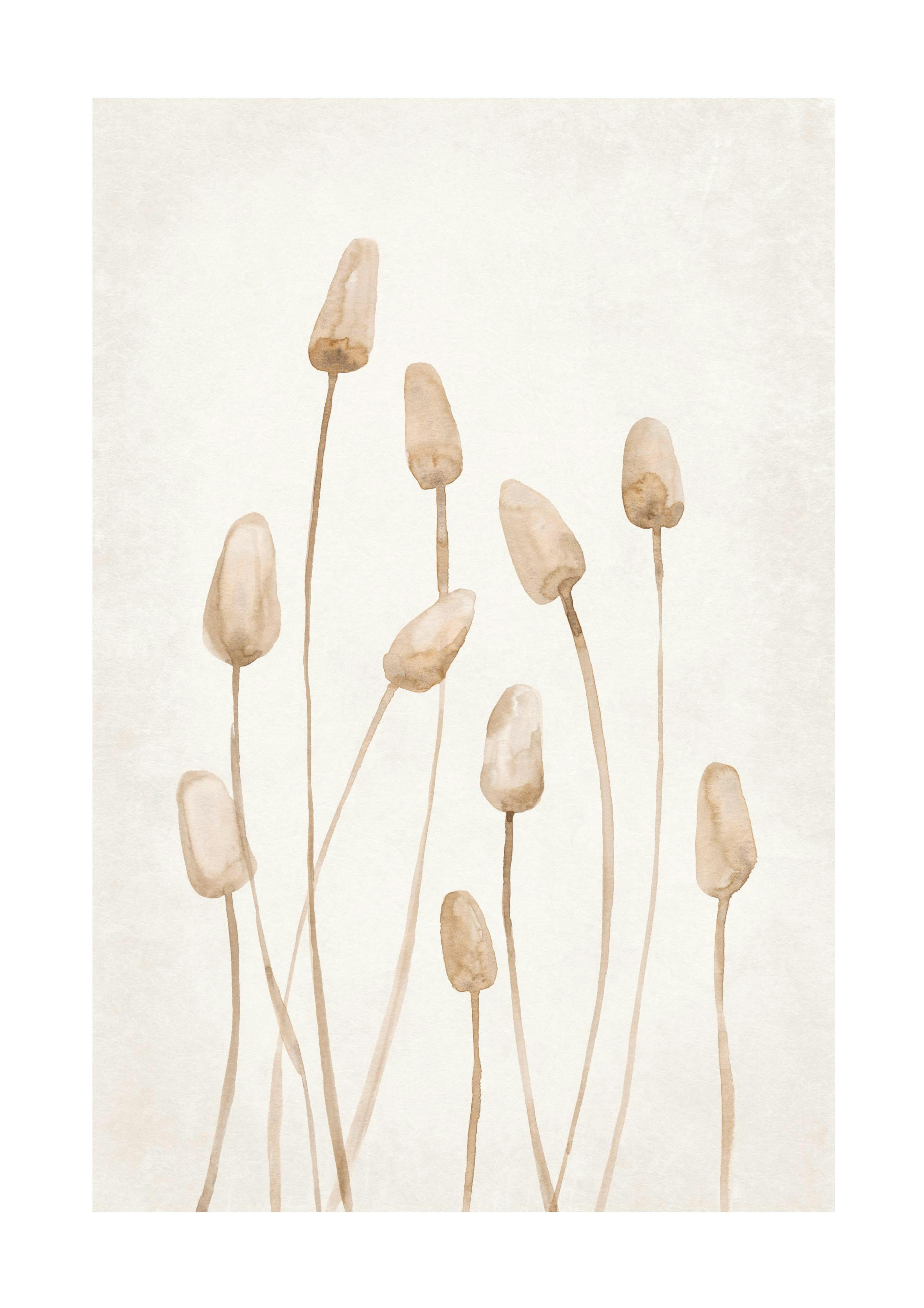 Watercolor Dried Plants Print 0
