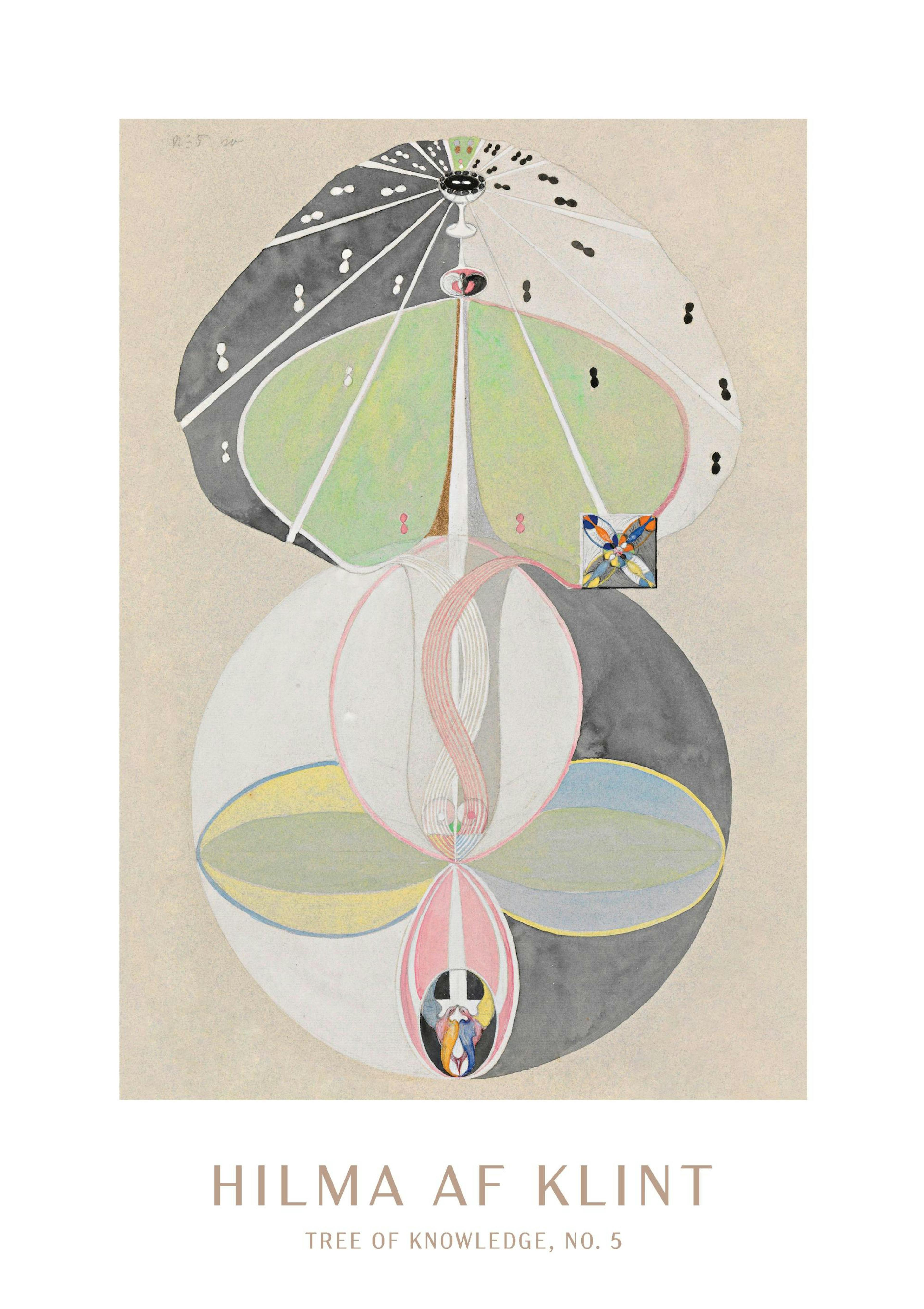 Plakat - Tree of knowledge, No. 5 by Hilma Af Klint