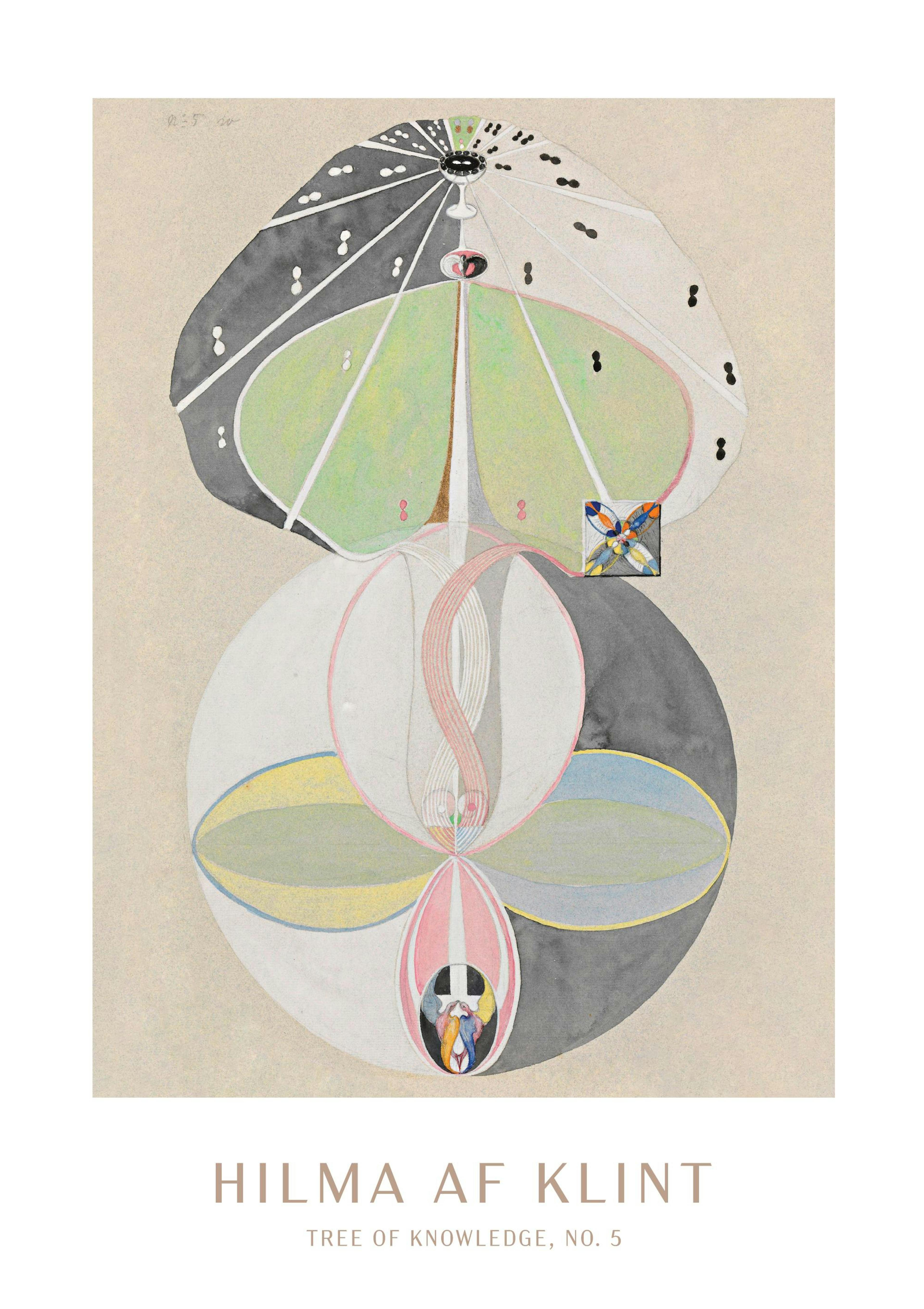 Poster - Tree of knowledge, No. 5 by Hilma Af Klint 0
