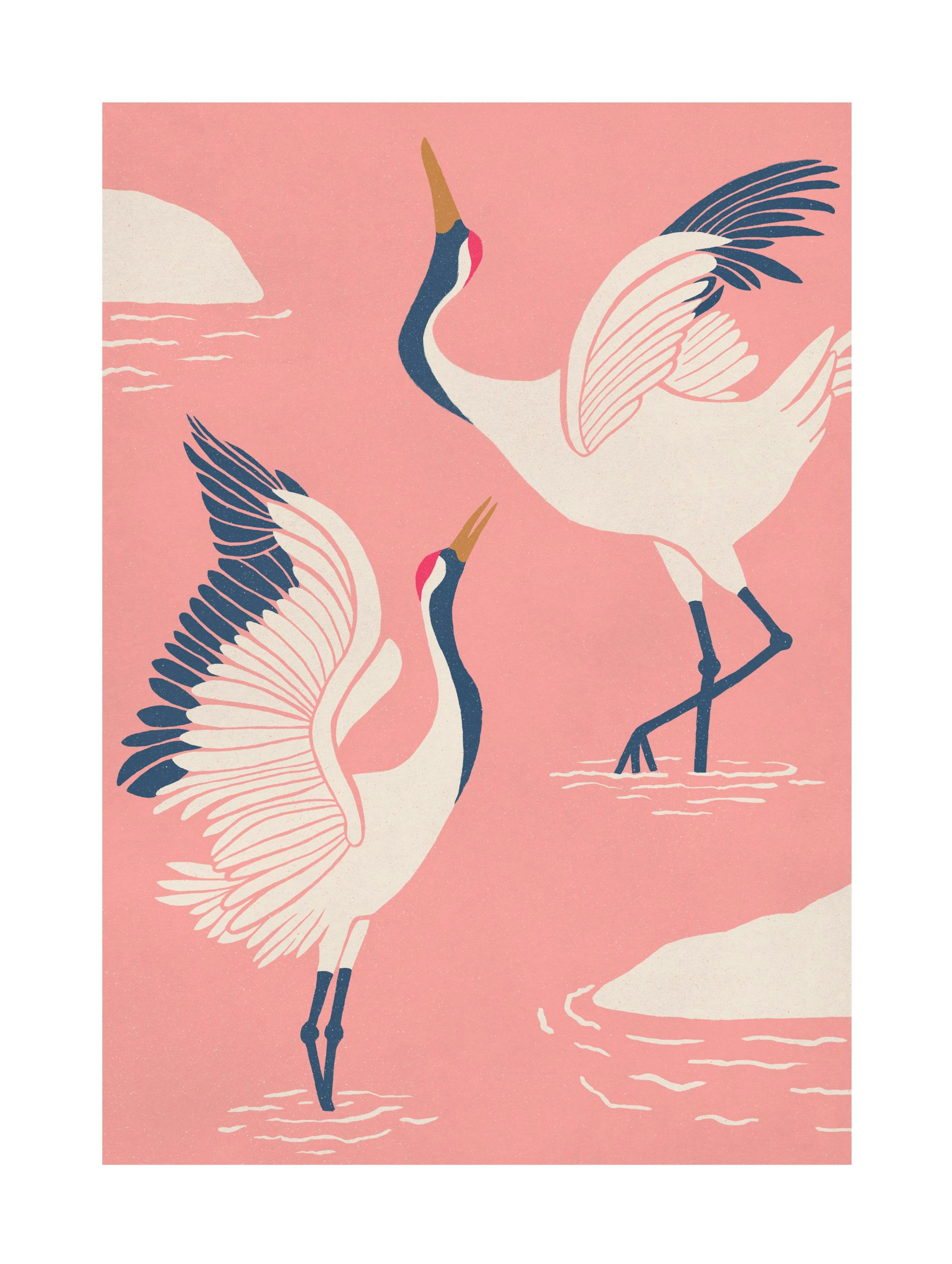 Dancing Cranes Poster 0