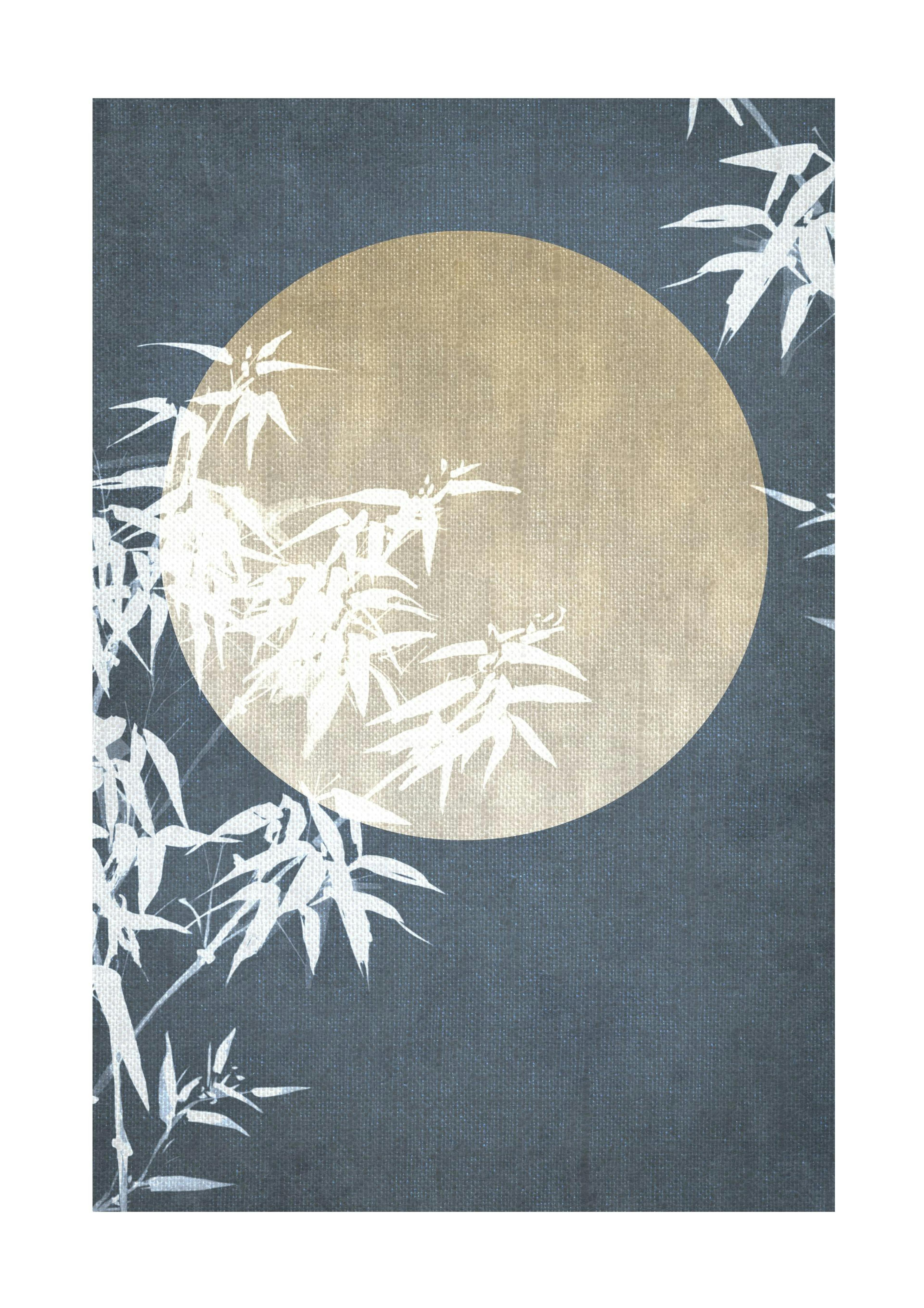 Moon Night Sky No2 Poster 0