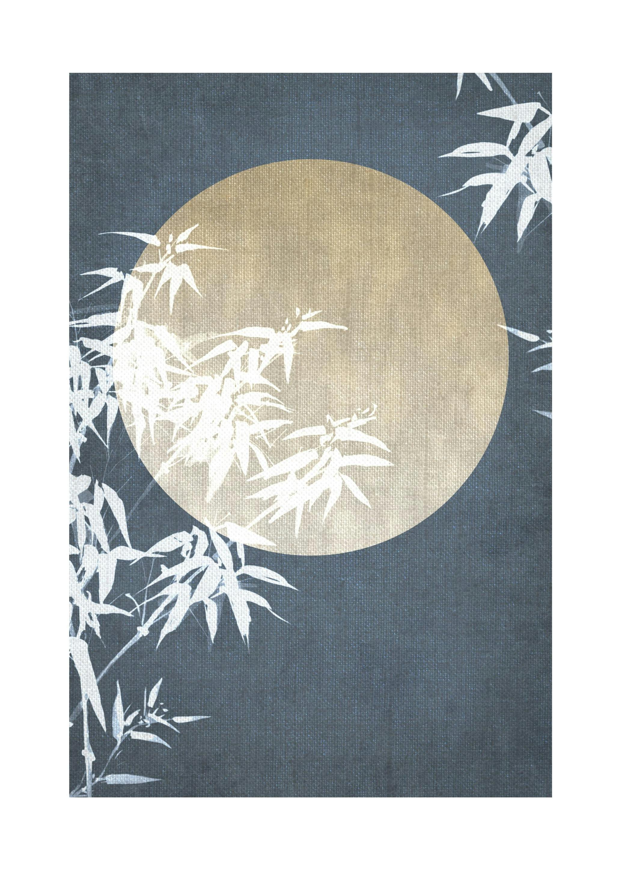 Moon Night Sky No2 Poster (30x40 cm)- Arte grafica e poster
