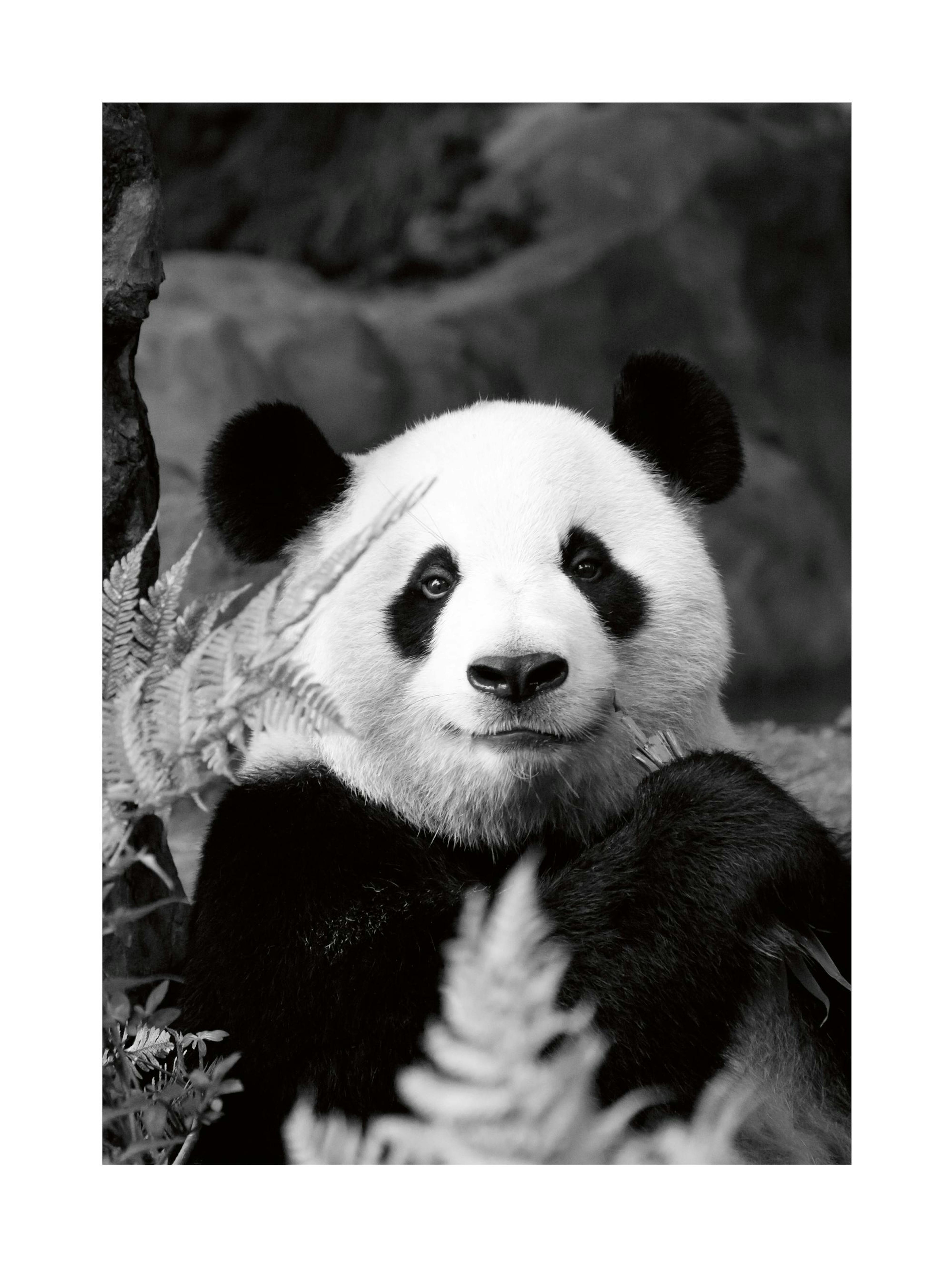 Product image: 1