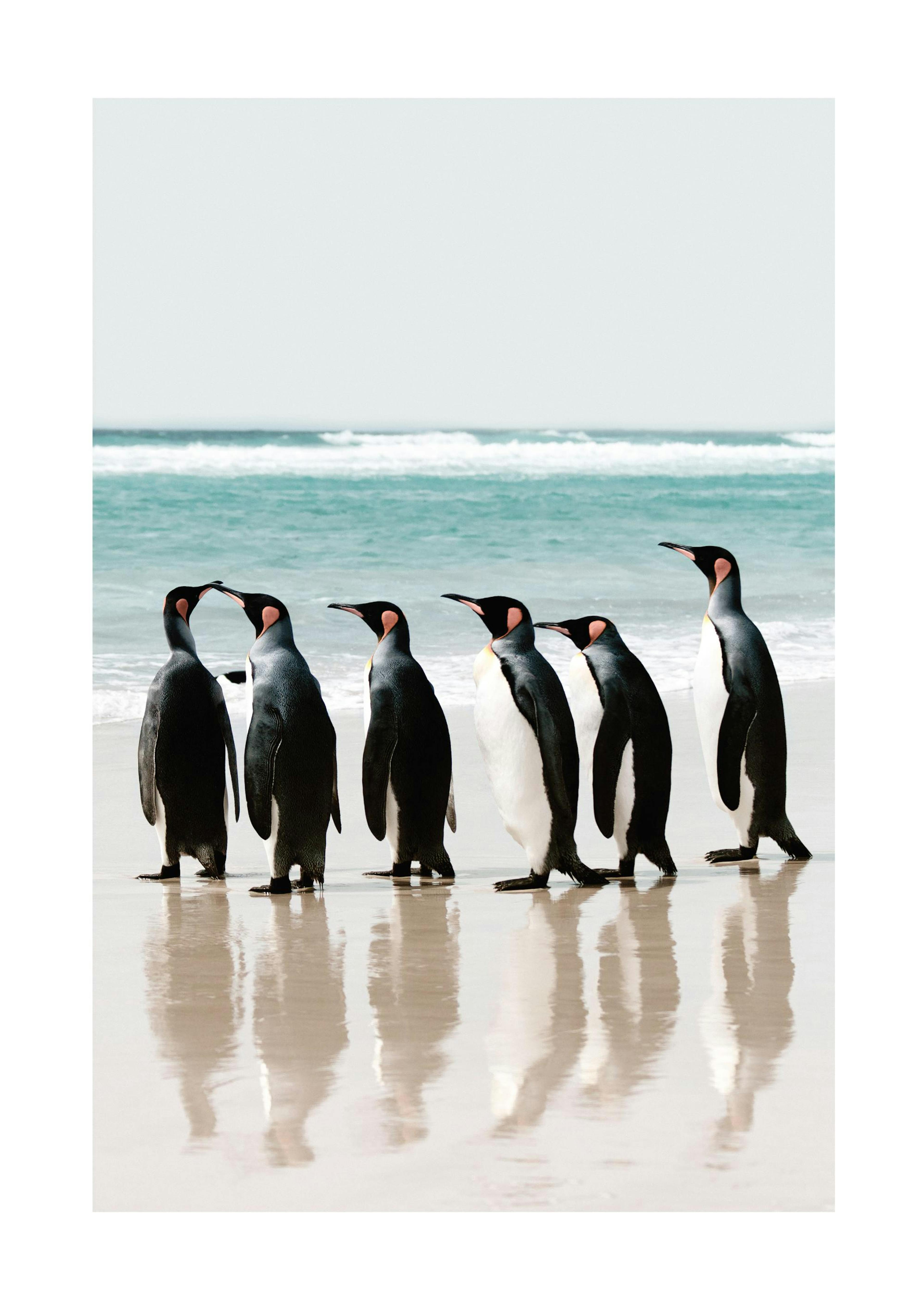 Lined up Penguins 포스터 0