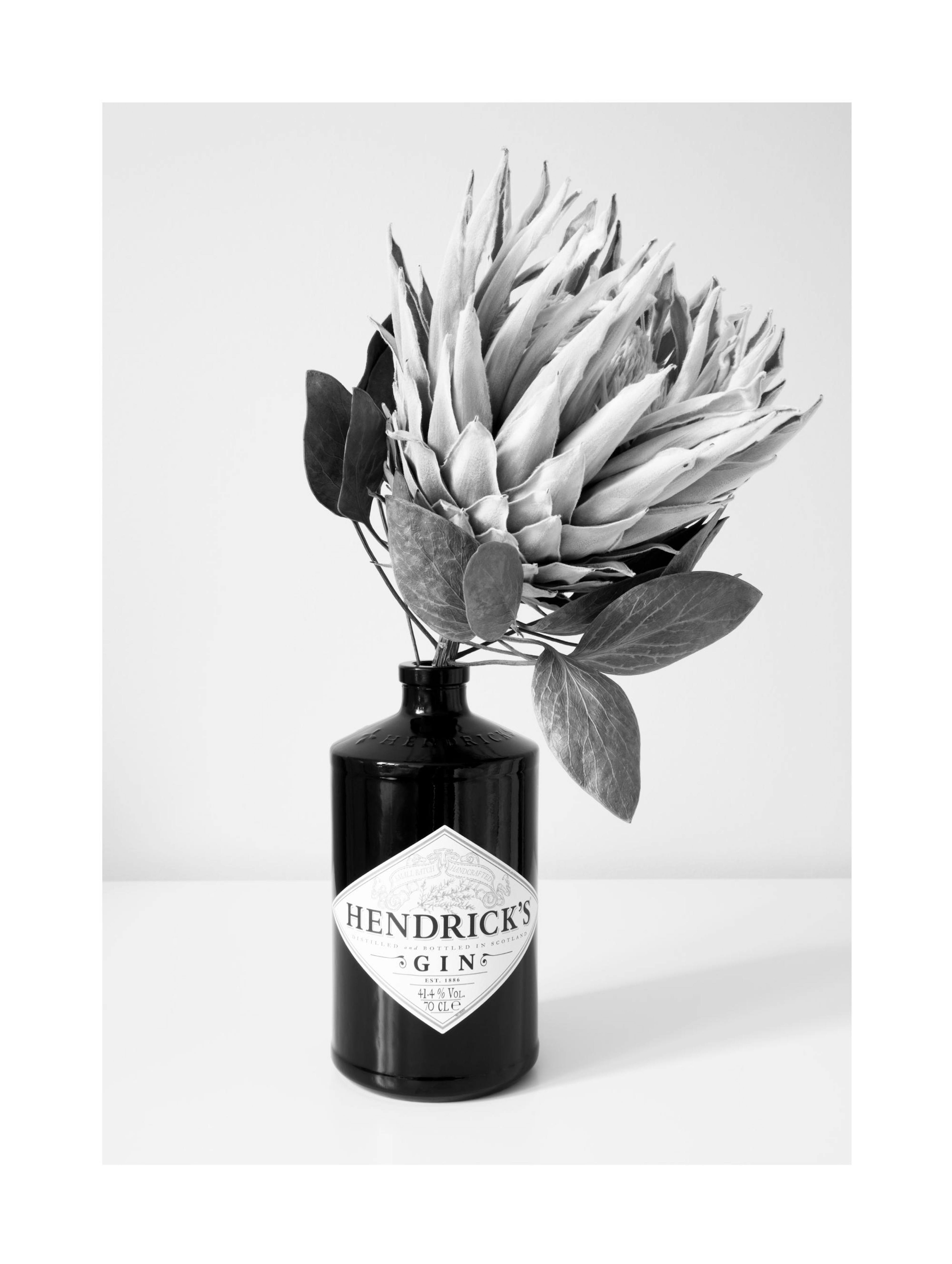 Gin & Flower Print