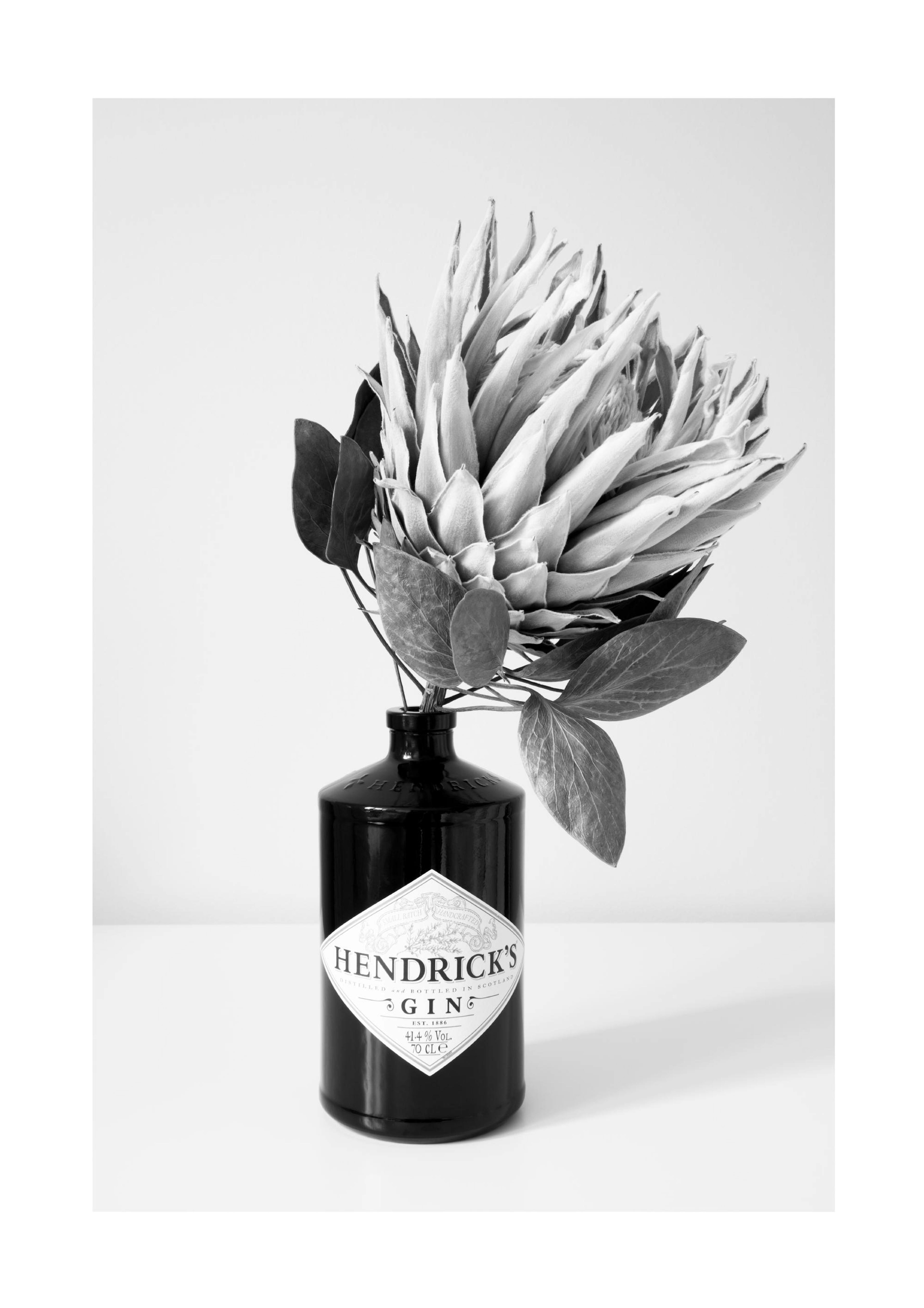 Gin & Flower Poster 0