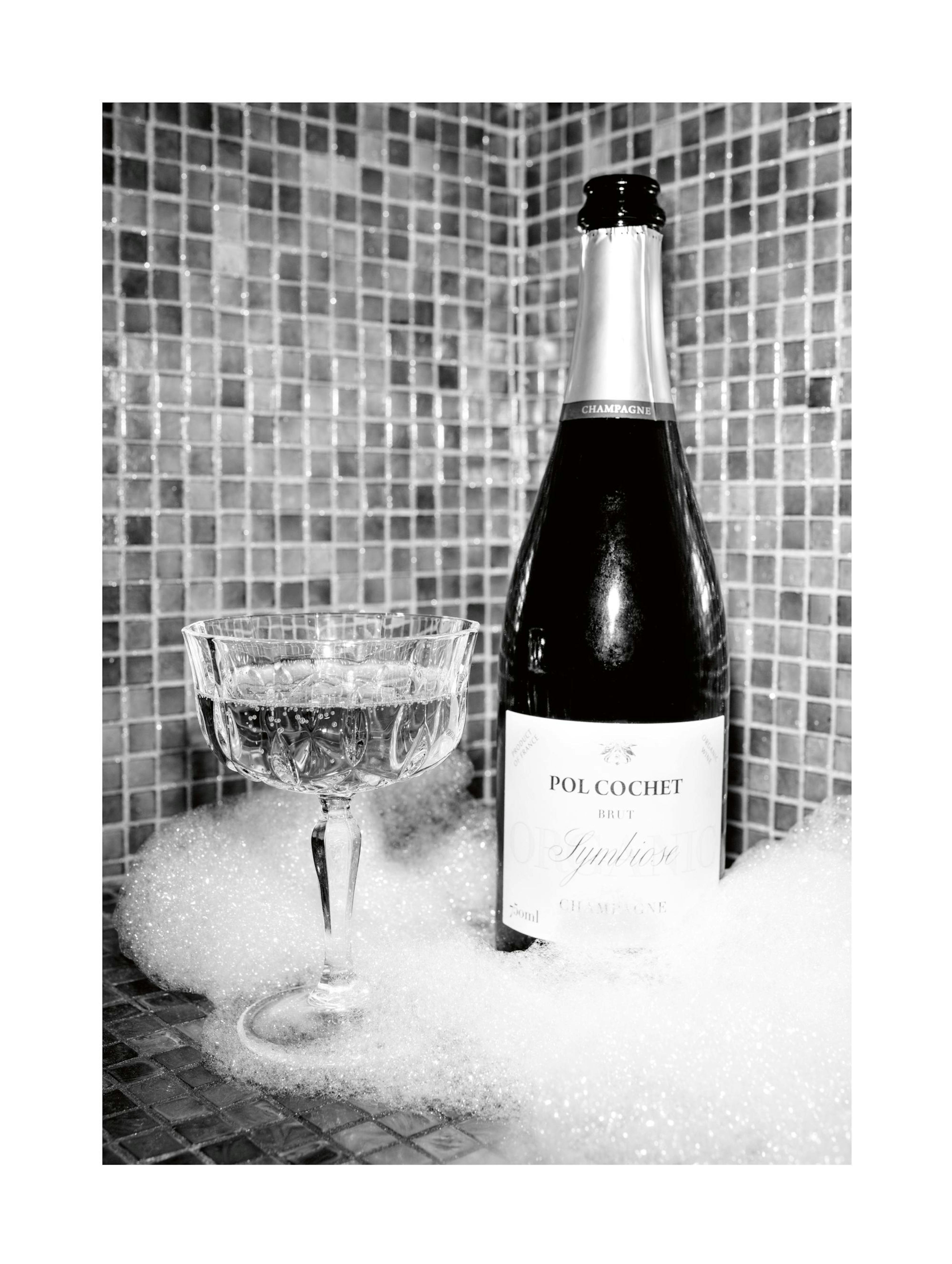 Bubbles & Bubbles 포스터