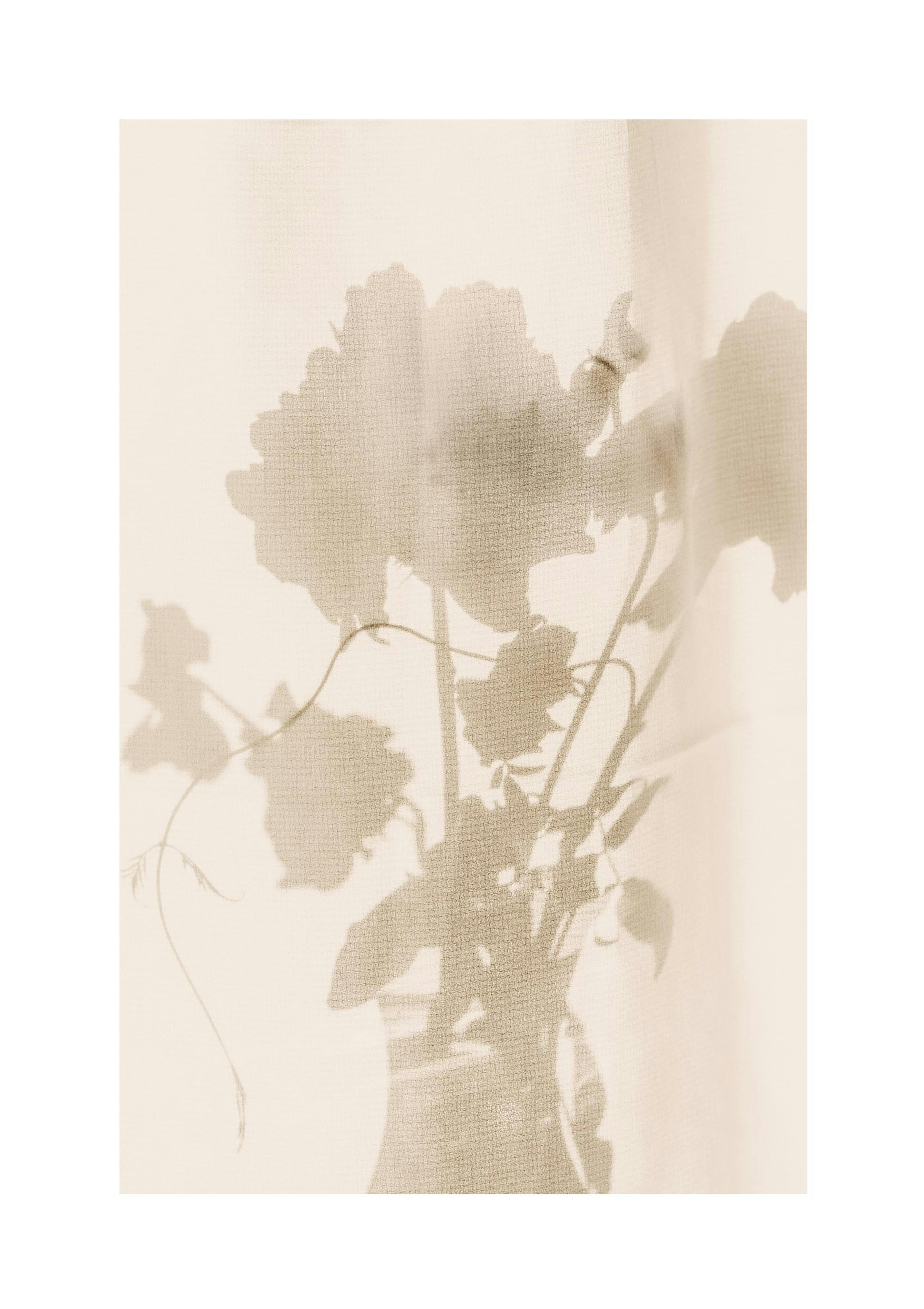 Flower Shade Poster