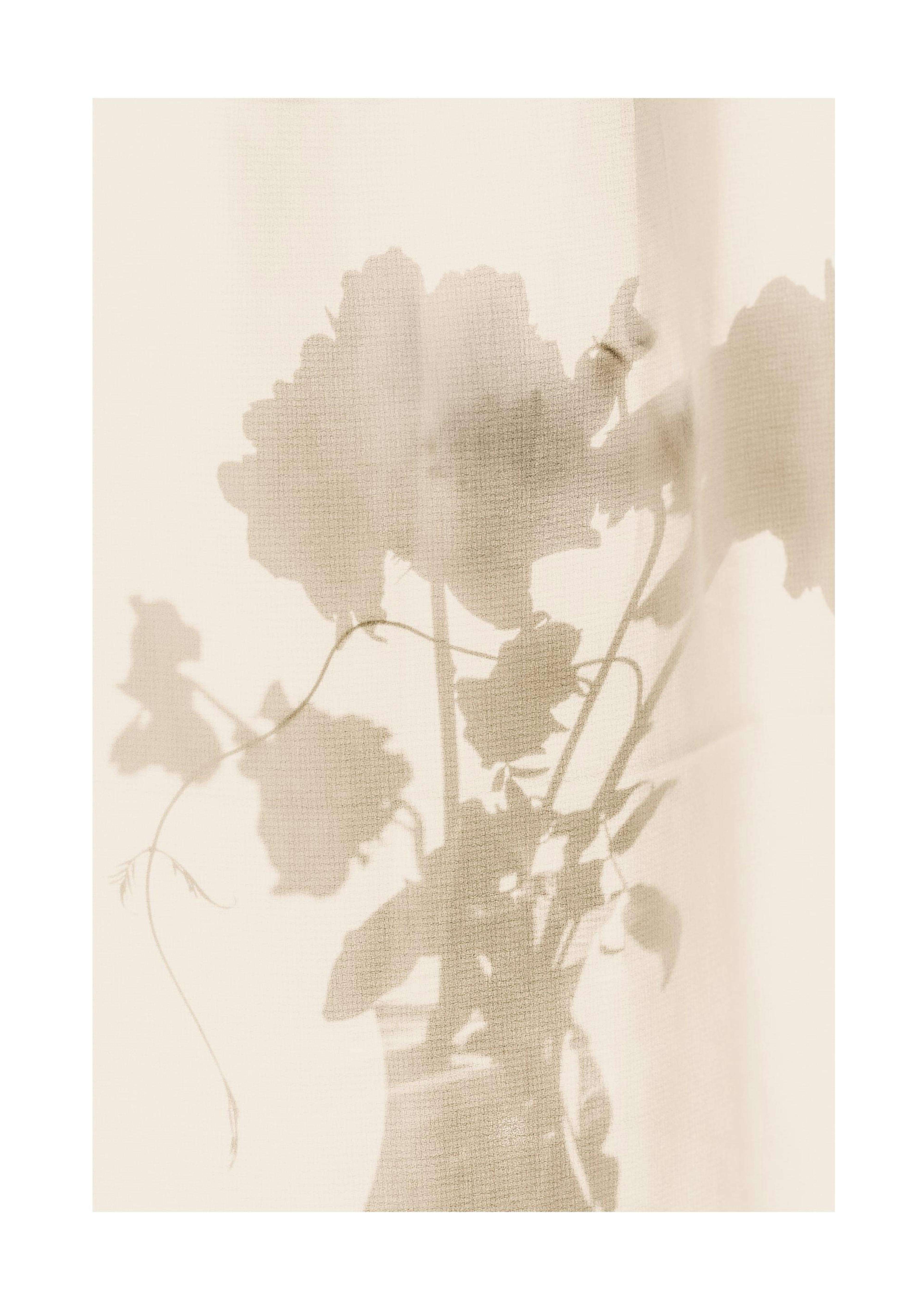 Flower Shade Plakat 0