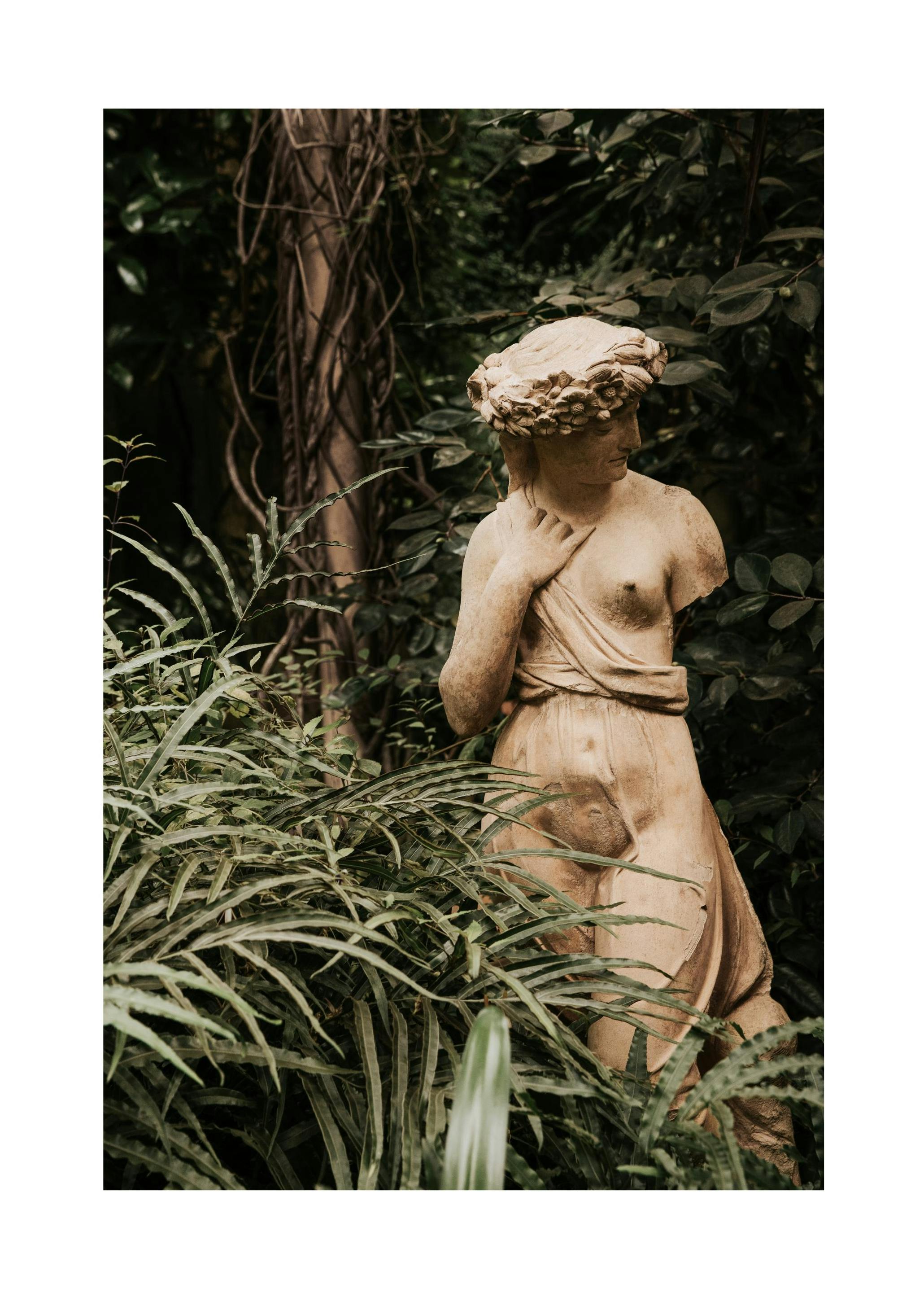 Overgrown Figure Plakat (30x40 cm)- Fotografia