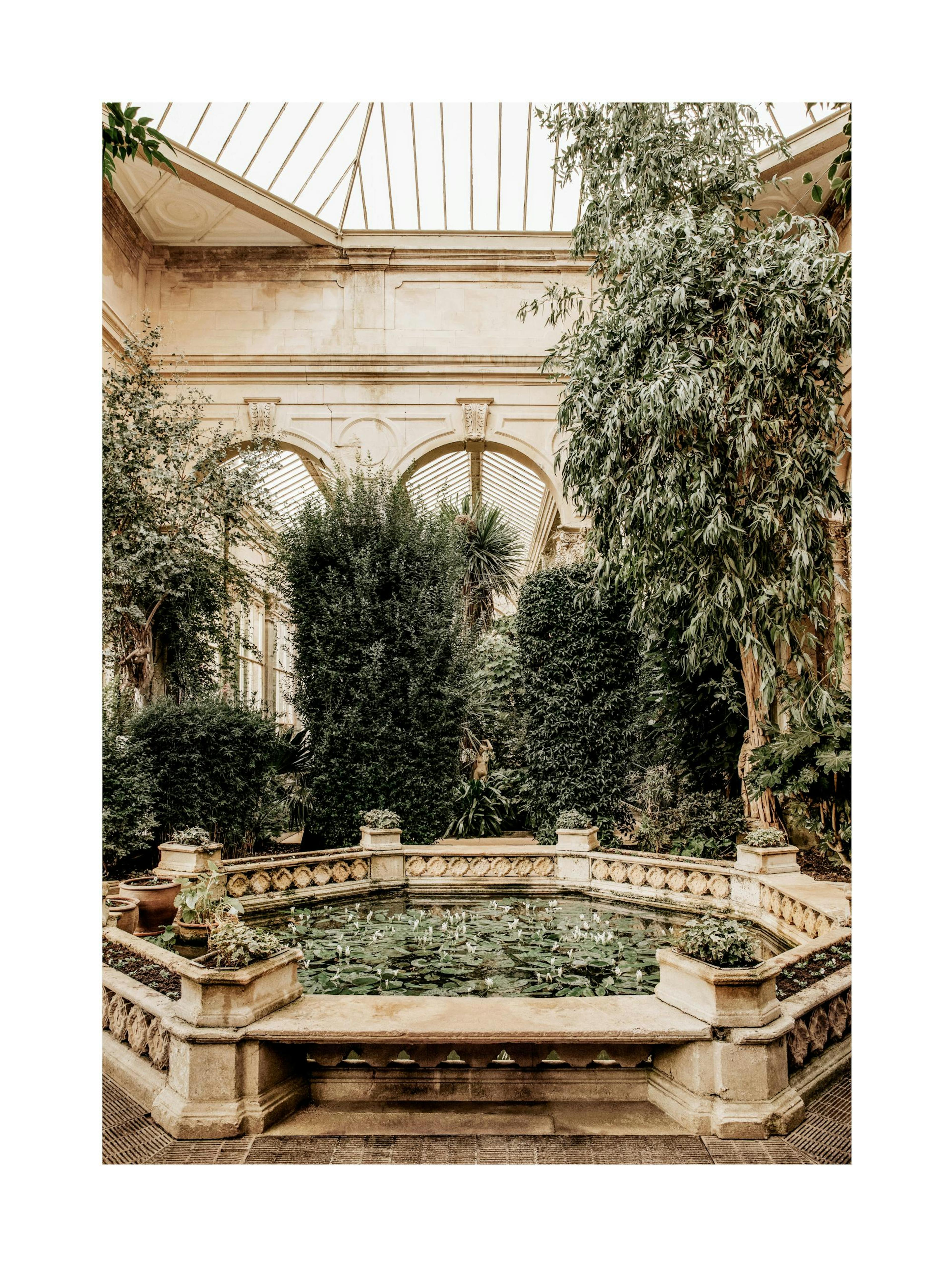 Water Lily Pond Print