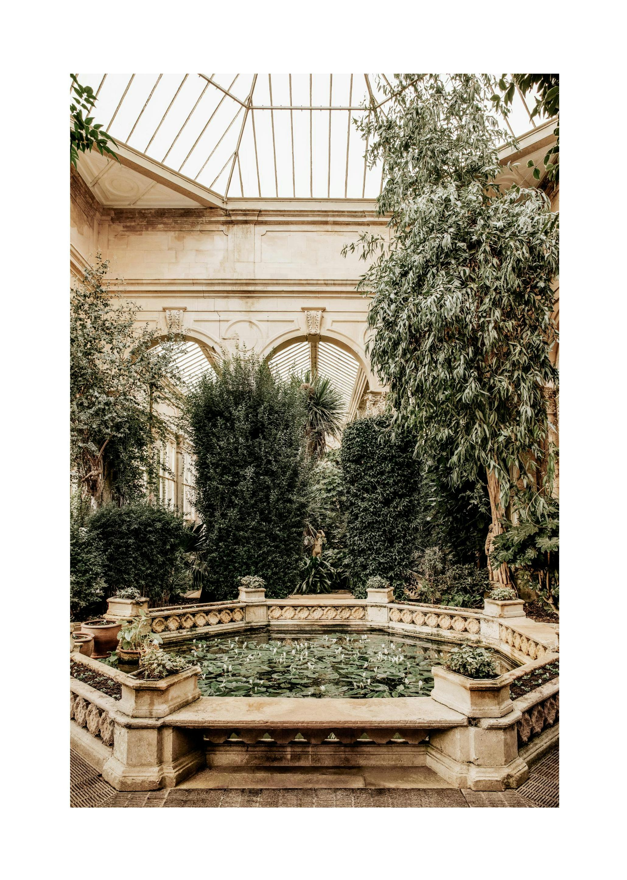 Prints - Water Lily Pond Print (30x40 cm) - Architecture posters